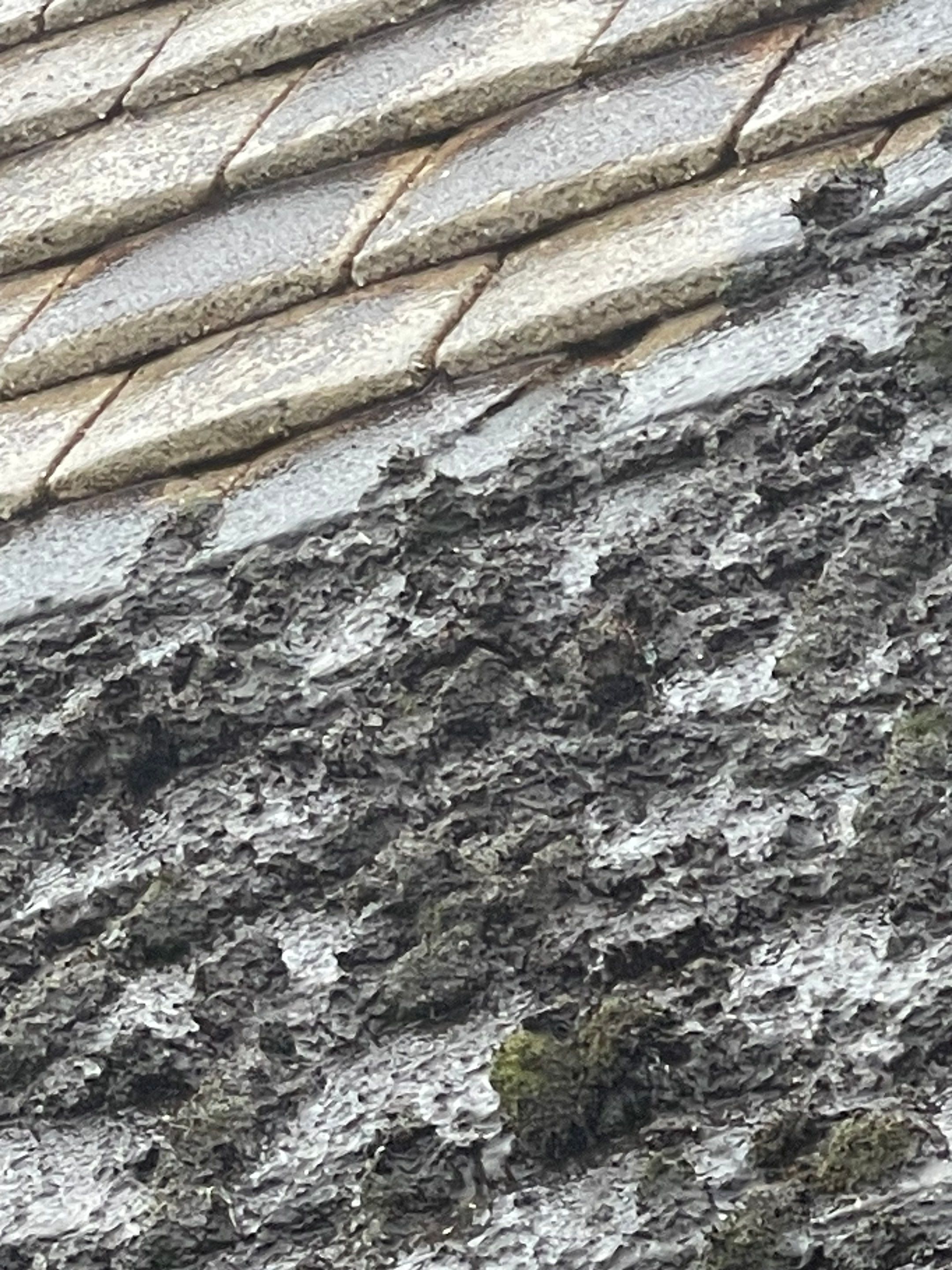 Roof Clean  - Moss Removal - Gutter Clean using Honda 15lpm Low Pressure Washing Machine by Ges Exterior Cleaning ltd