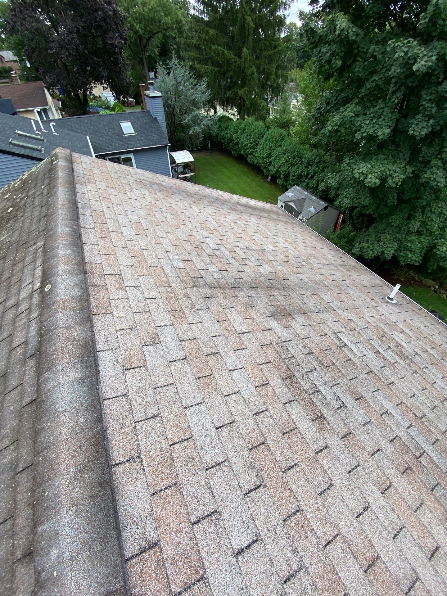 Shakewood Shingles by Reimagine Roofing