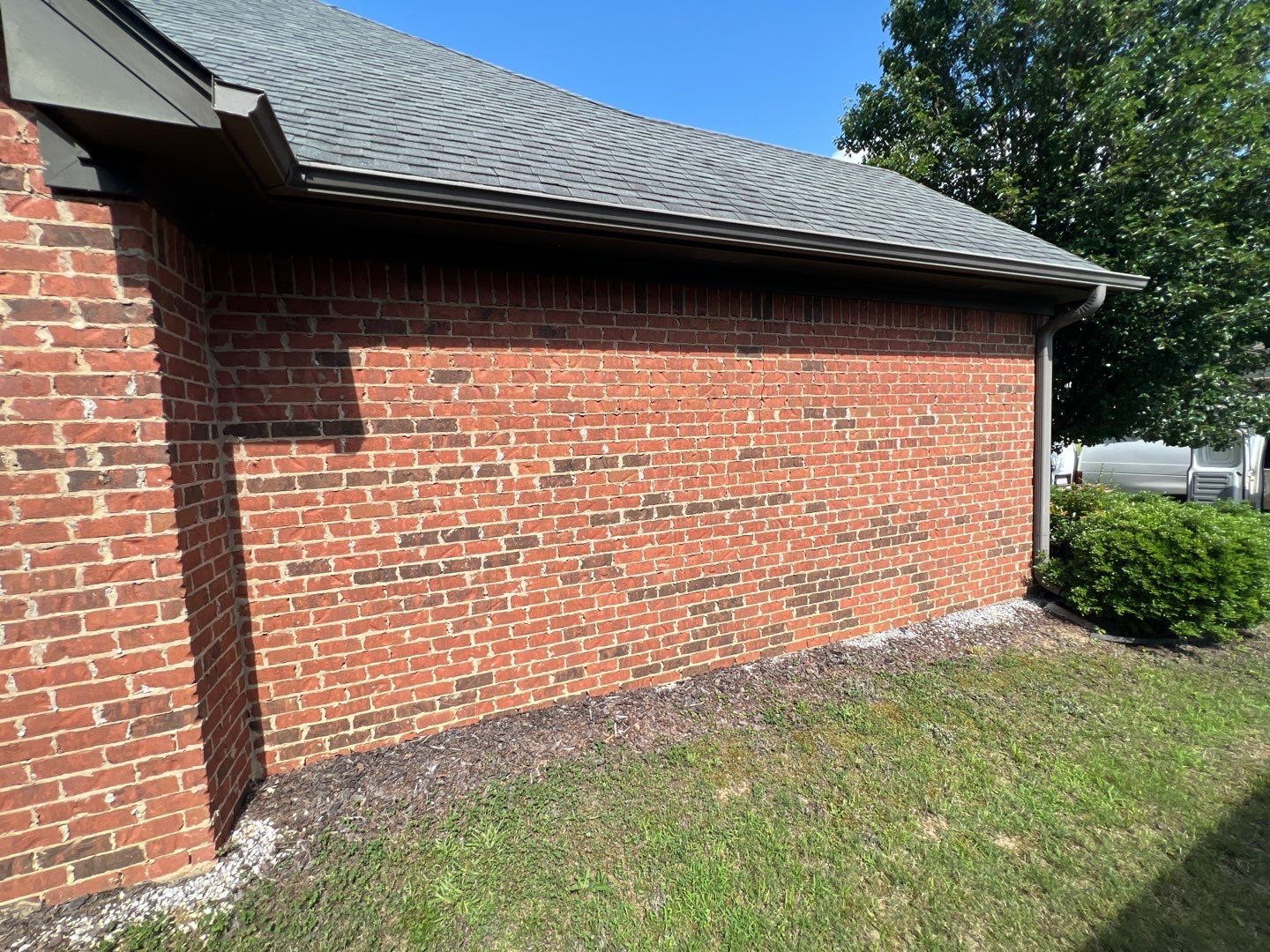 Downing Park - Paint by Pillar and Pine