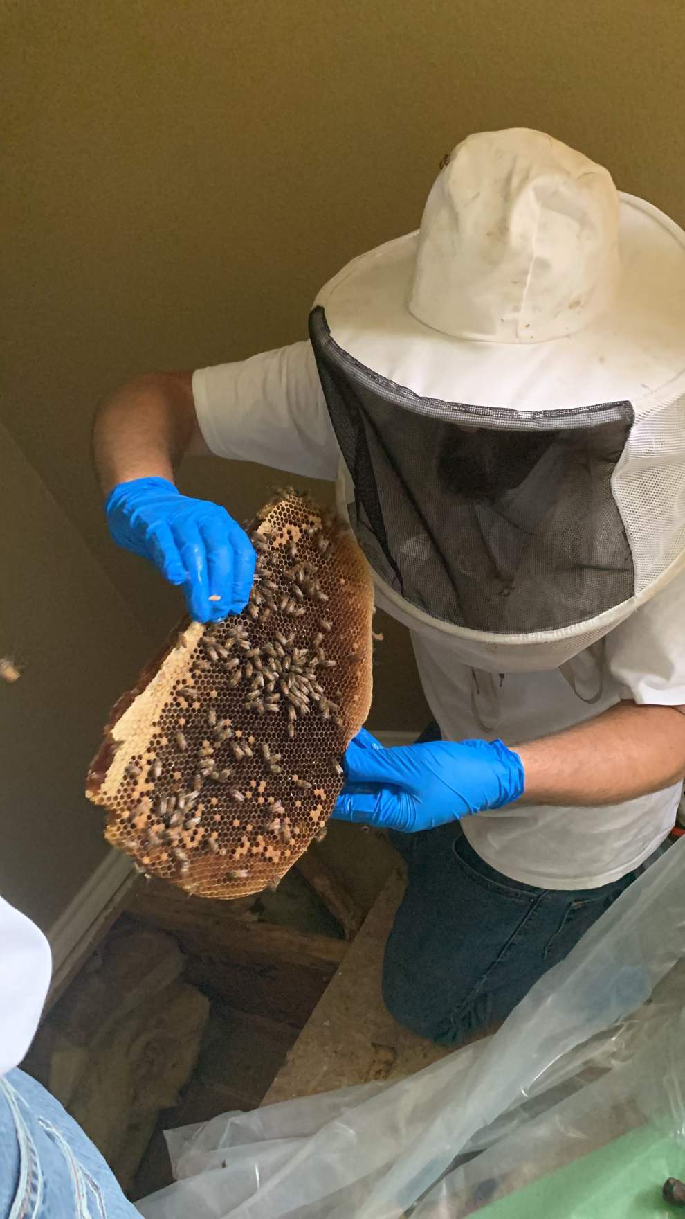 Beekeepers-to-be by Rockwall Honey Bee Company