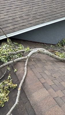Turtle Shell gutter protection installation in Naperville, IL 60563, photograph 6