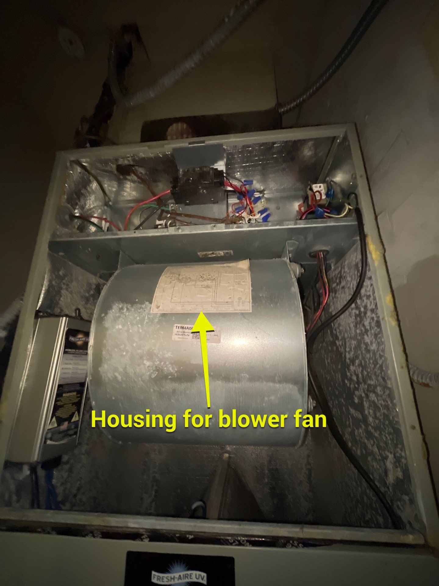 Commercial Air Duct Cleaning in Tavares by Hygienic Air, Inc