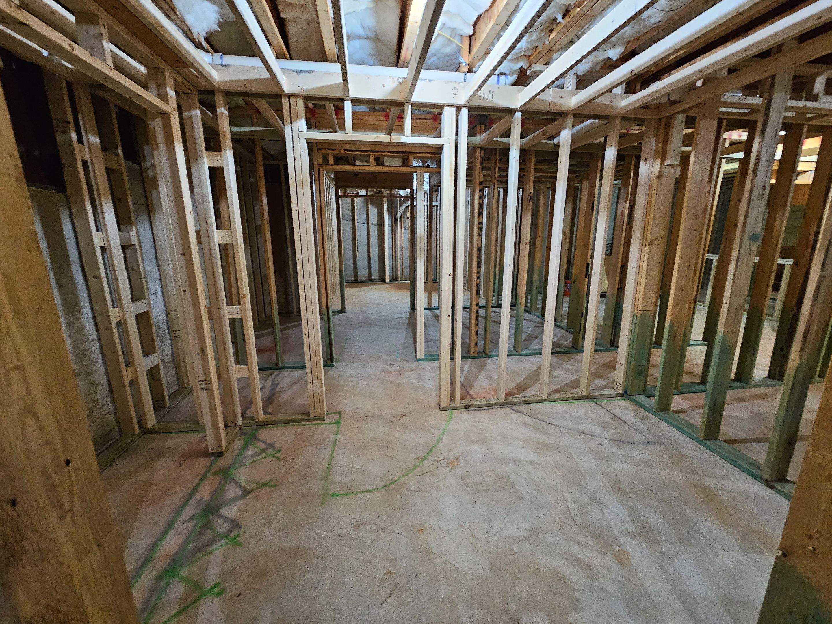 Palmetto Basement by Ajayi Design and Construction 