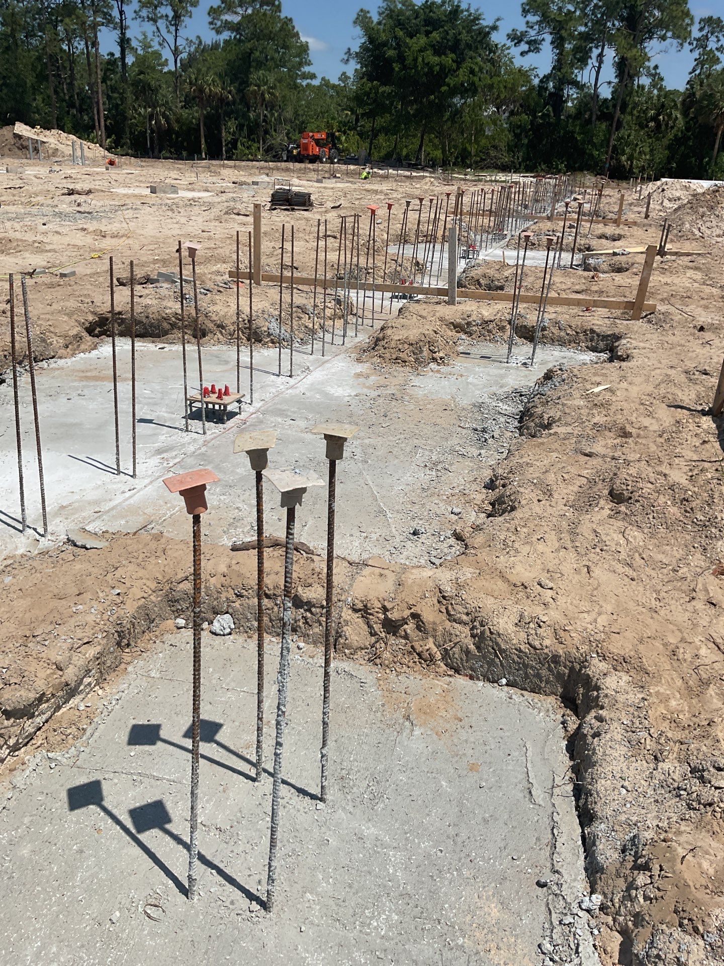 TRACTOR SUPPLY NAPLES by Southern Gulf Construction