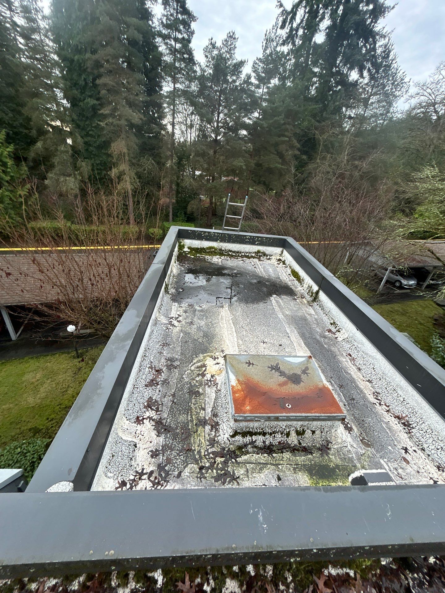 Project in Kirkland by Connolly Construction Company