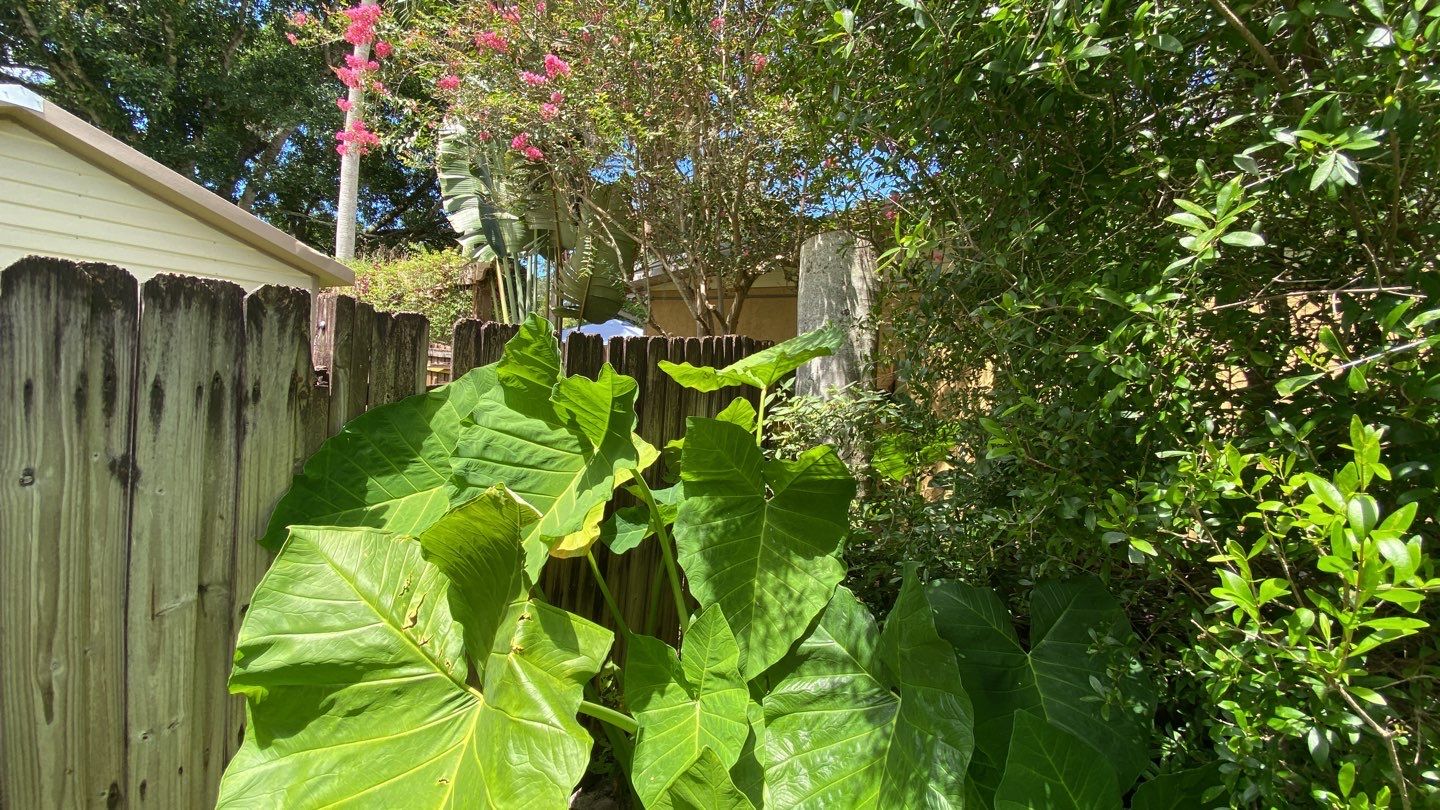 Bradenton, FL 6 ft. White Vinyl Privacy Fence by Asap fence and gates, LLC