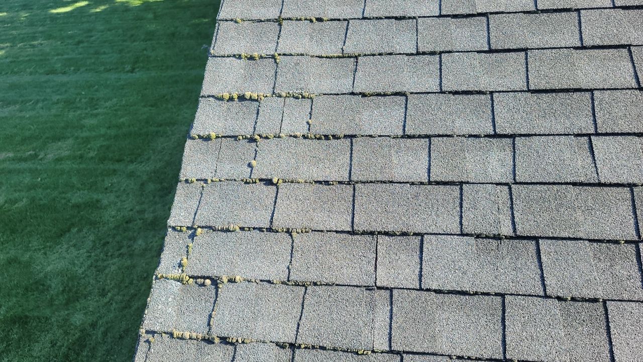 ATLAS PINNACLE COLOR: COASTAL GRANITE by Eagle Eye Roofing