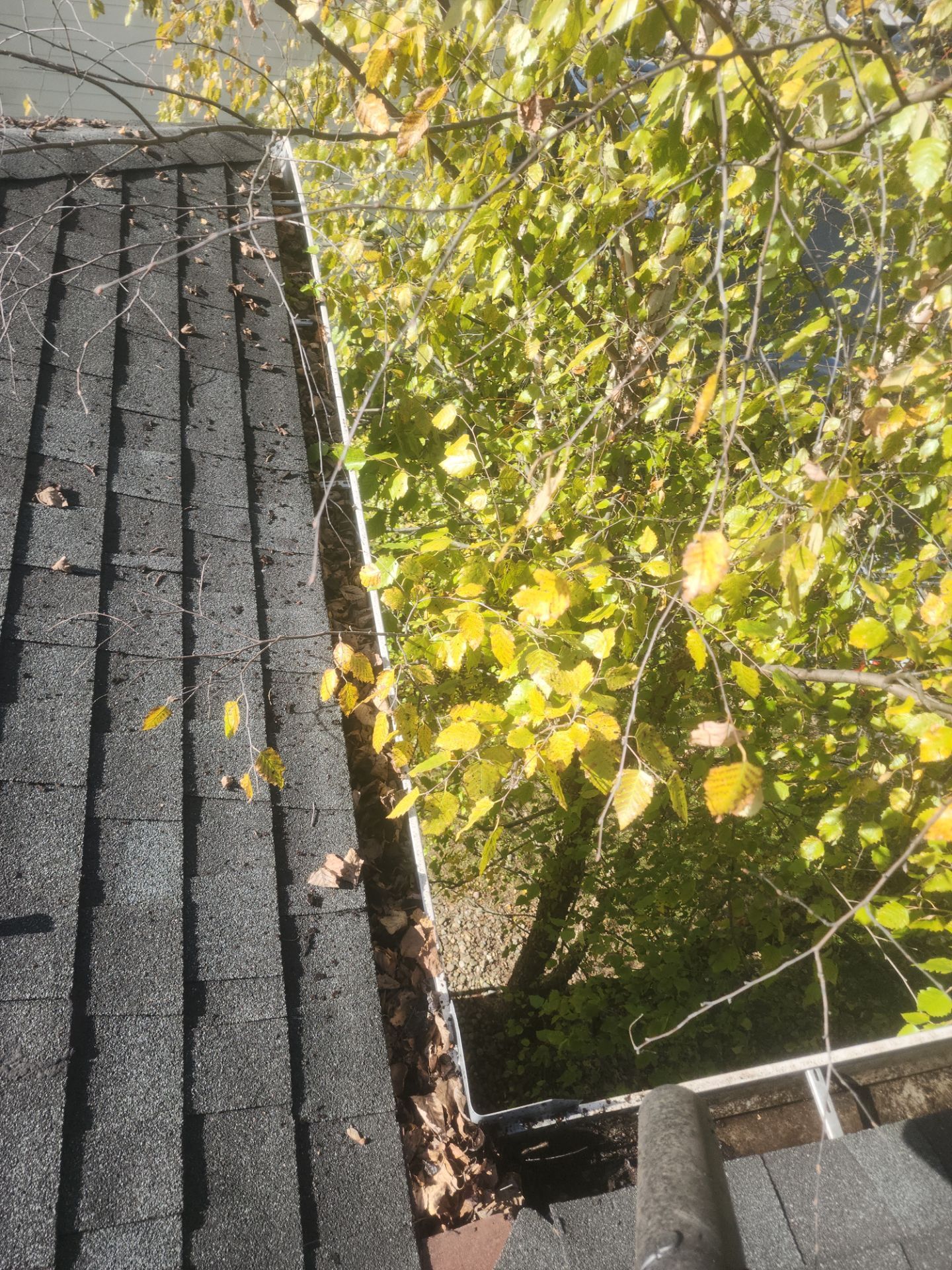 Commercial gutter cleaning West Virginia before photo with filled gutters