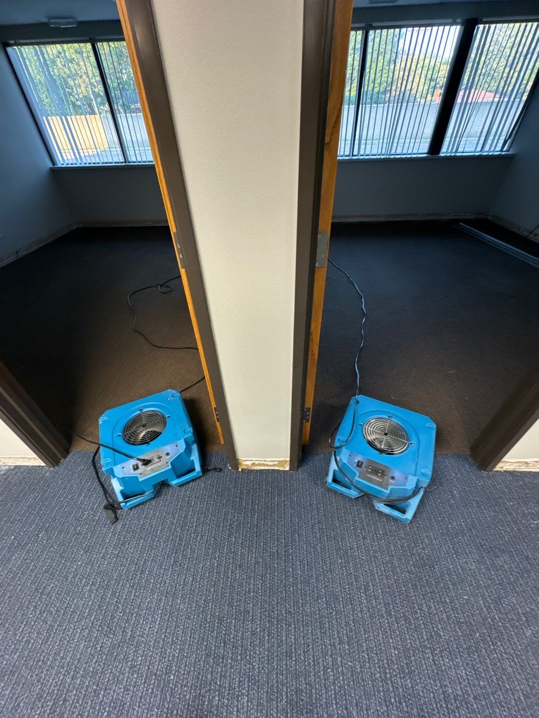 Project in Warren by EzDry Water Mitigation & Property Restoration