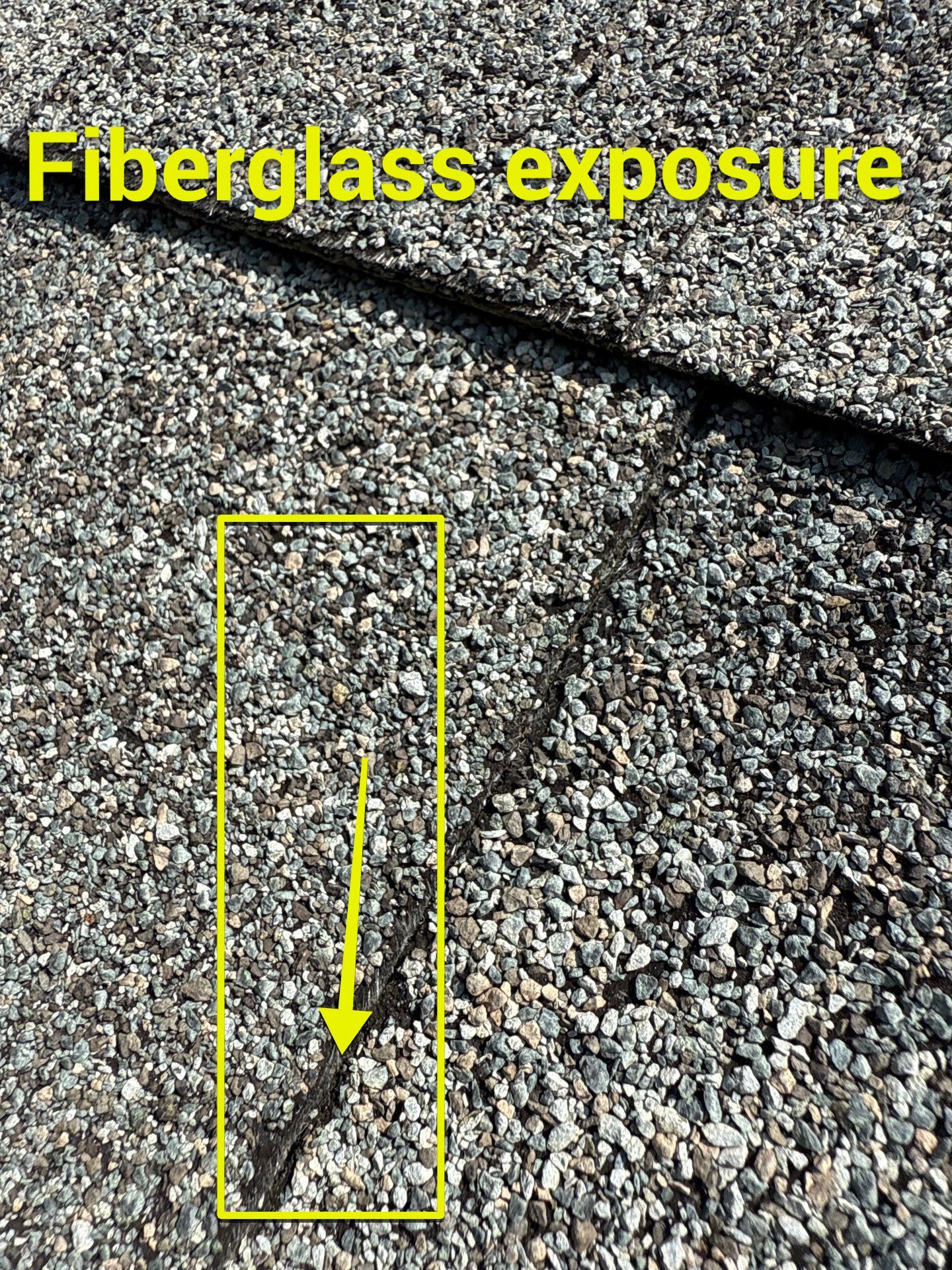 Project in Maidens by Roof Maxx of Midlothian