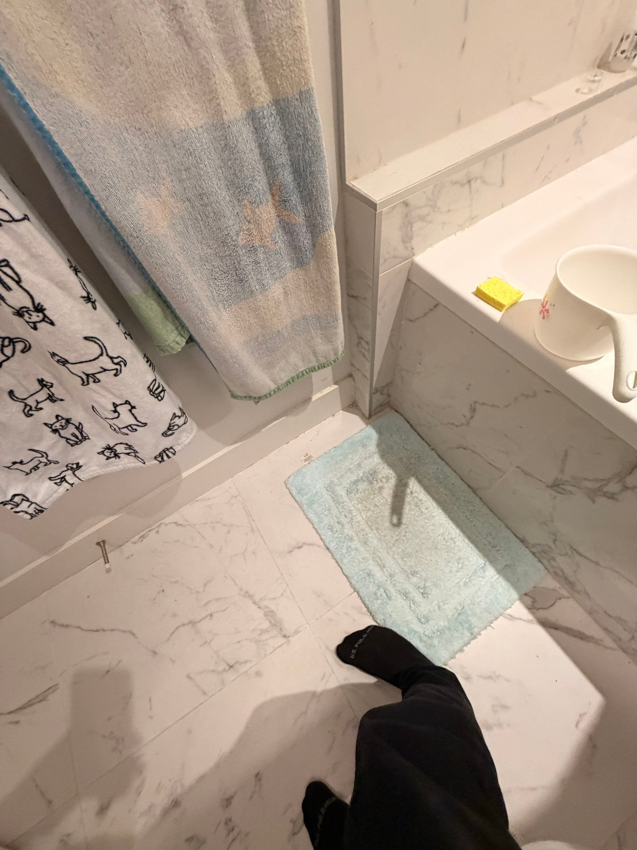 Bathroom Refresh & Mold Remediation in Tub and Shower Area by YVR Construction Group