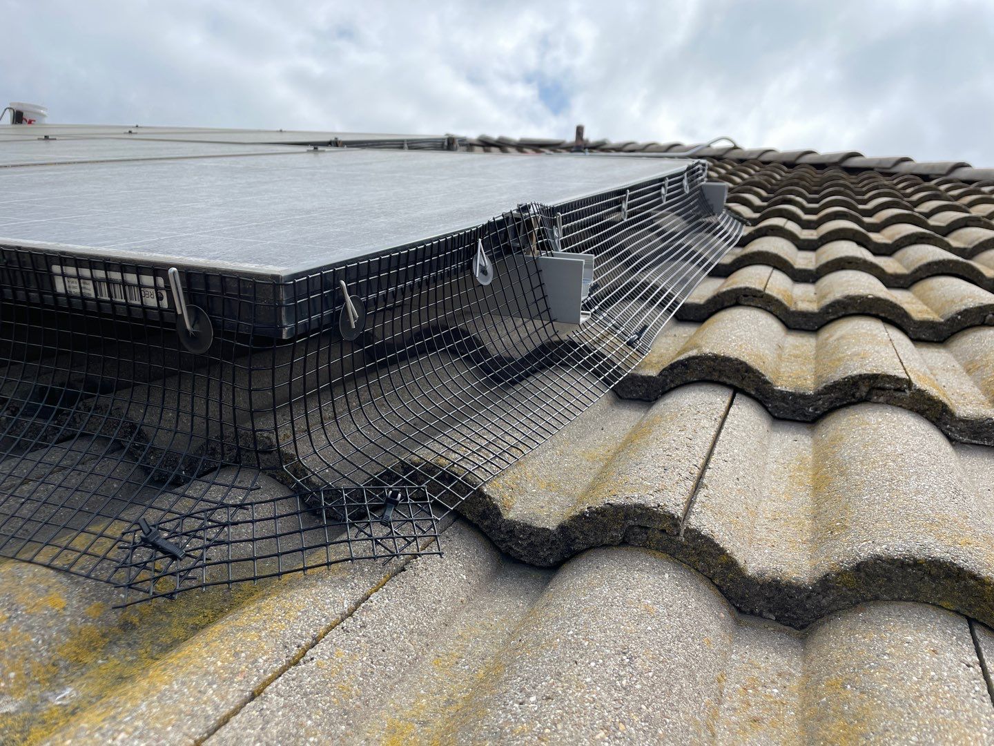 Solar Panel Bird Proofing-Morgan Hill by All One Solar Shine