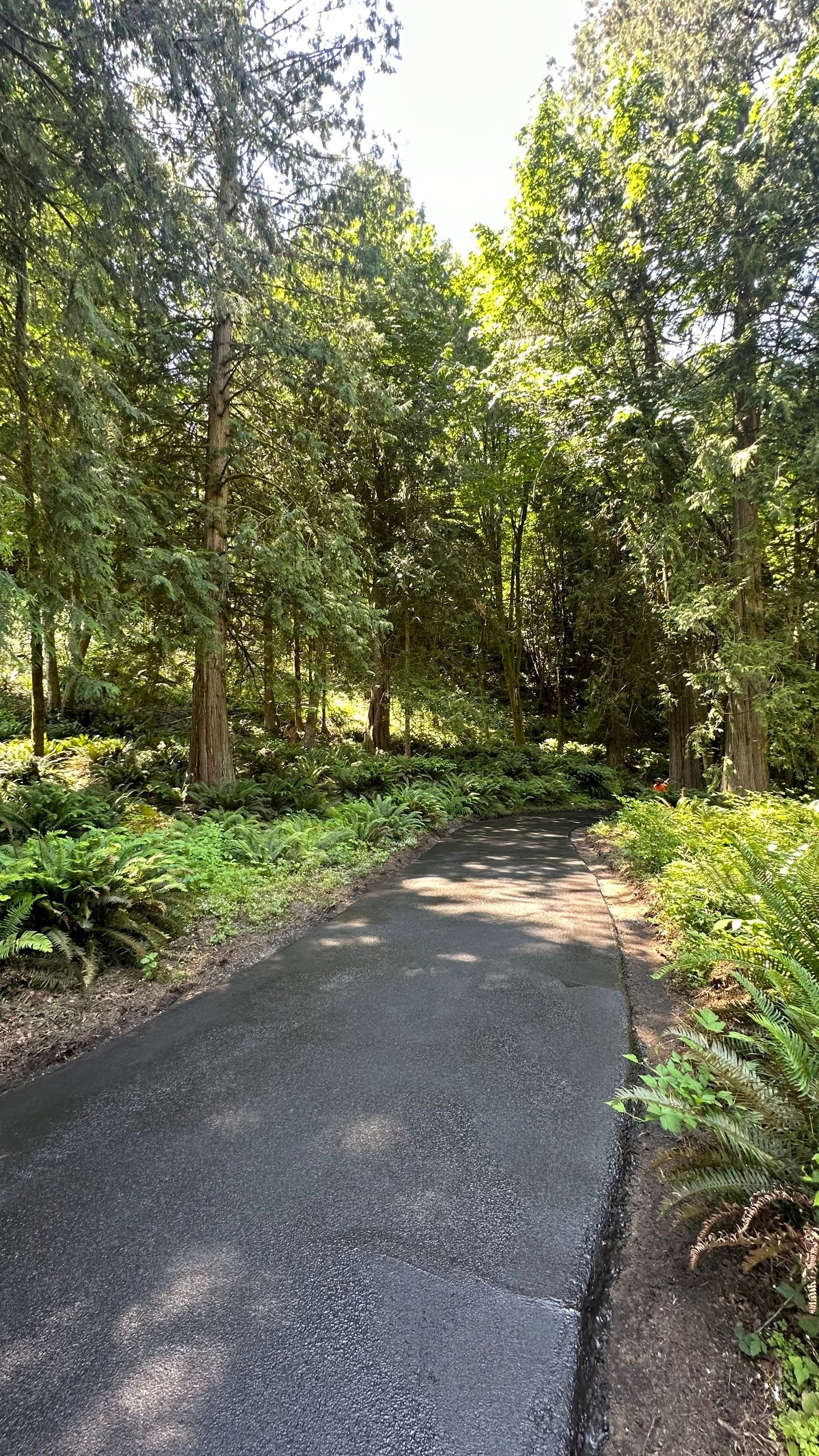 John | Asphalt Driveway  by Jireh Asphalt & Concrete Inc 