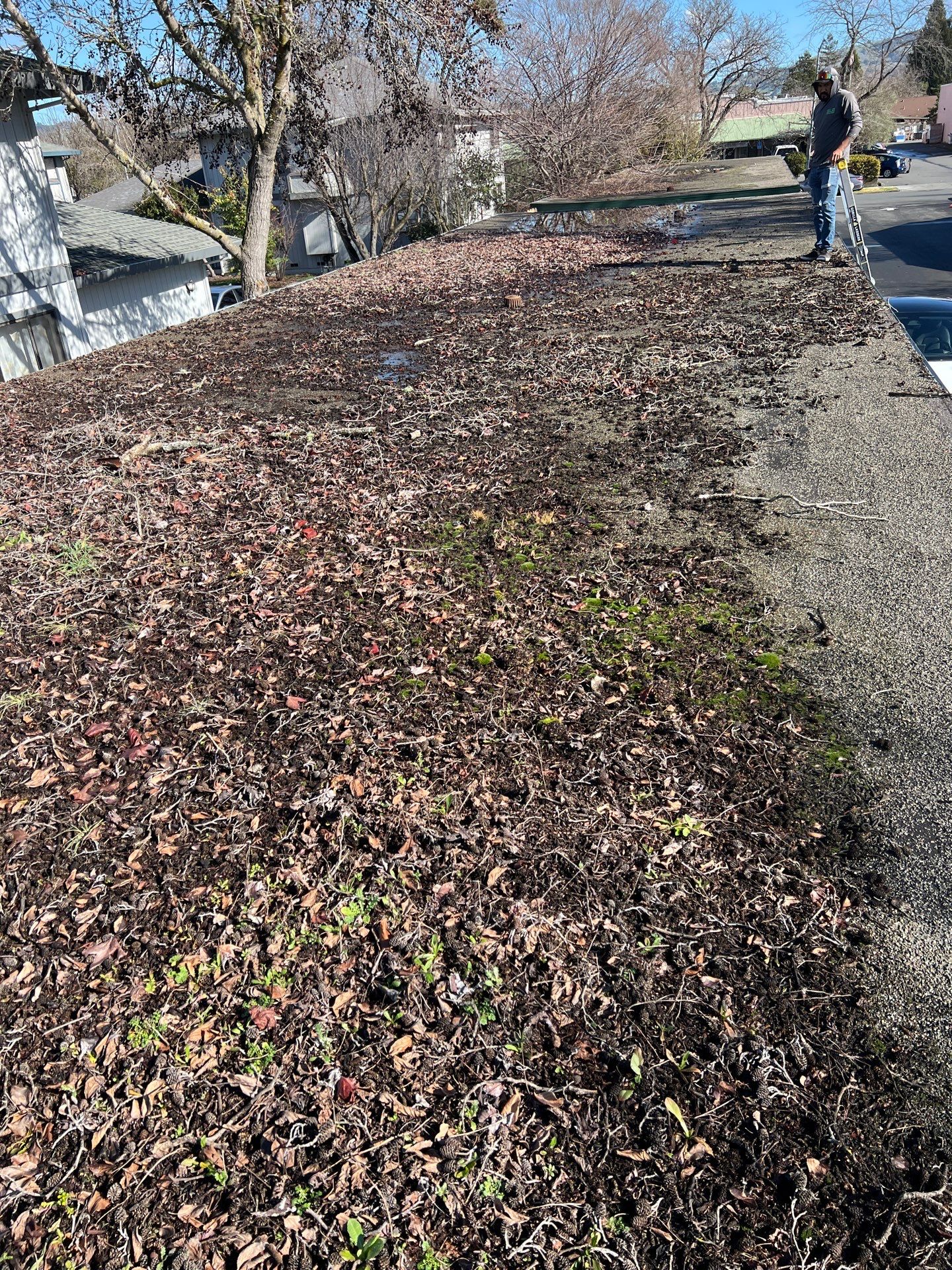 Sustainable Living Builders, Inc. featured photo.