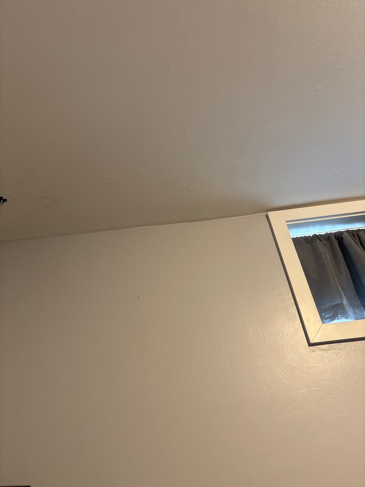 Flush Mount Light Fixture and Ceiling Vent Upgrade in Denver by CompanyCam Sales Demo