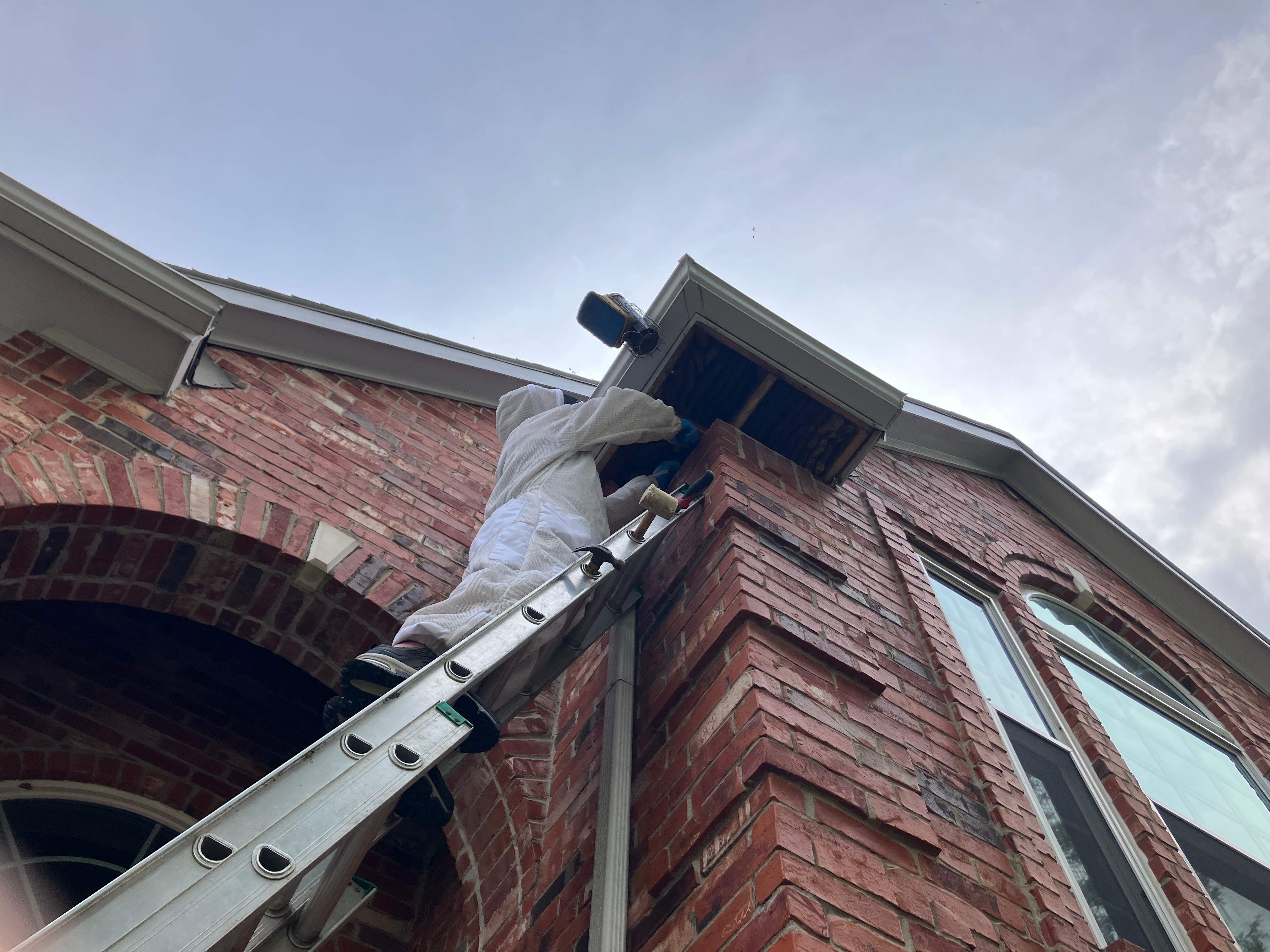 Caution! by Rockwall Honey Bee Company