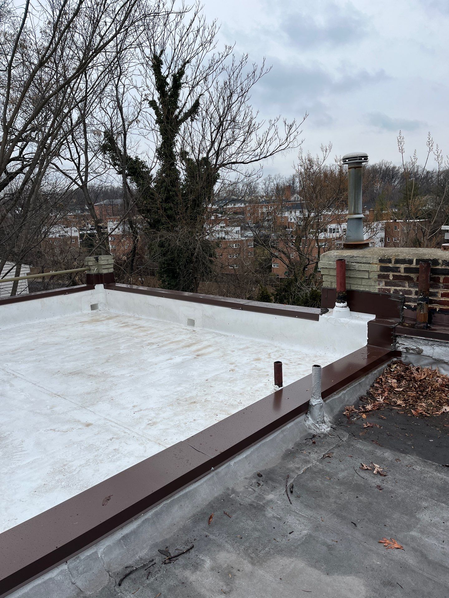 Arlington Flat TPO Roof Installation by RM Banning, Inc.