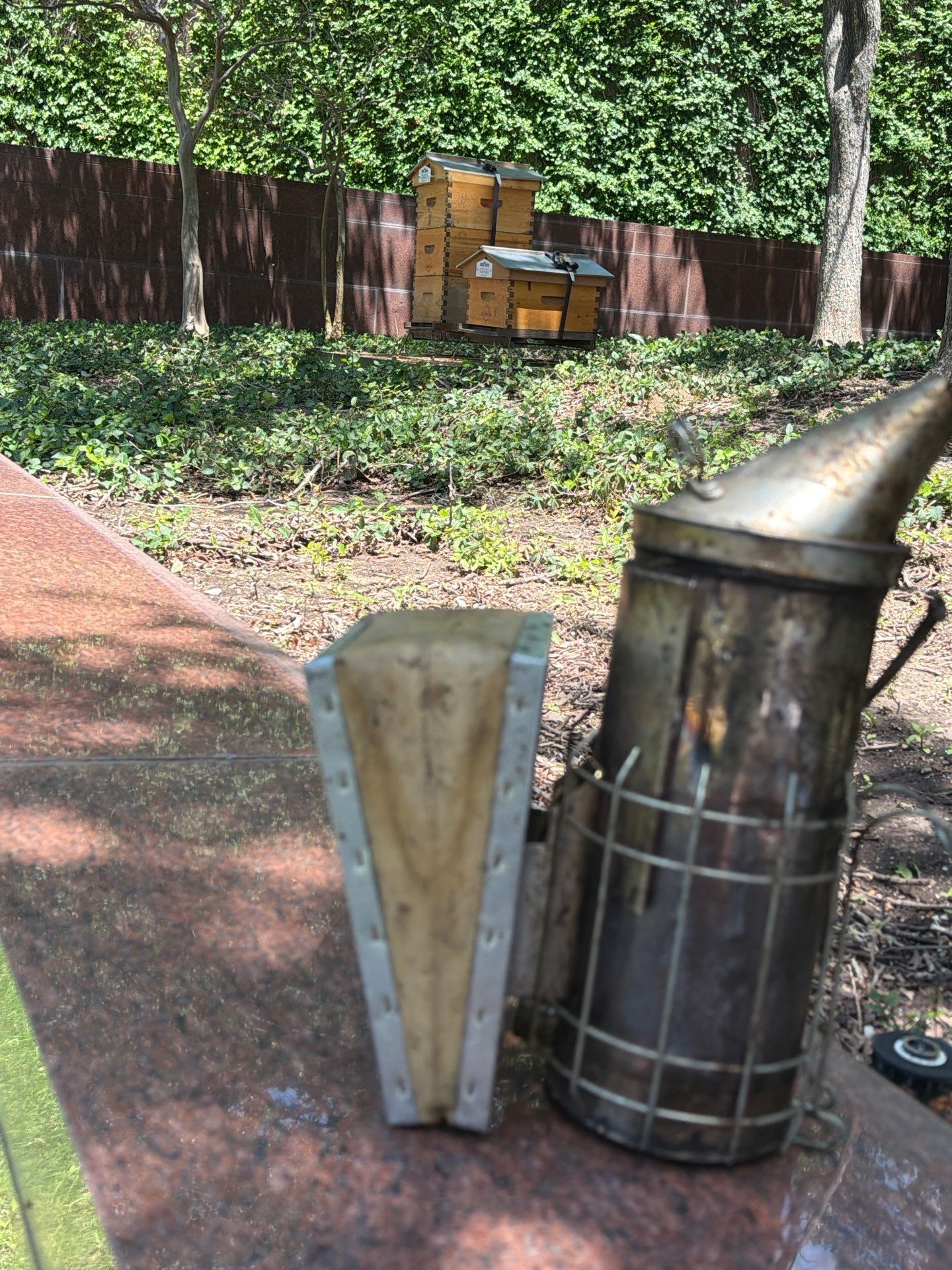Urban Bees in North Dallas by Rockwall Honey Bee Company