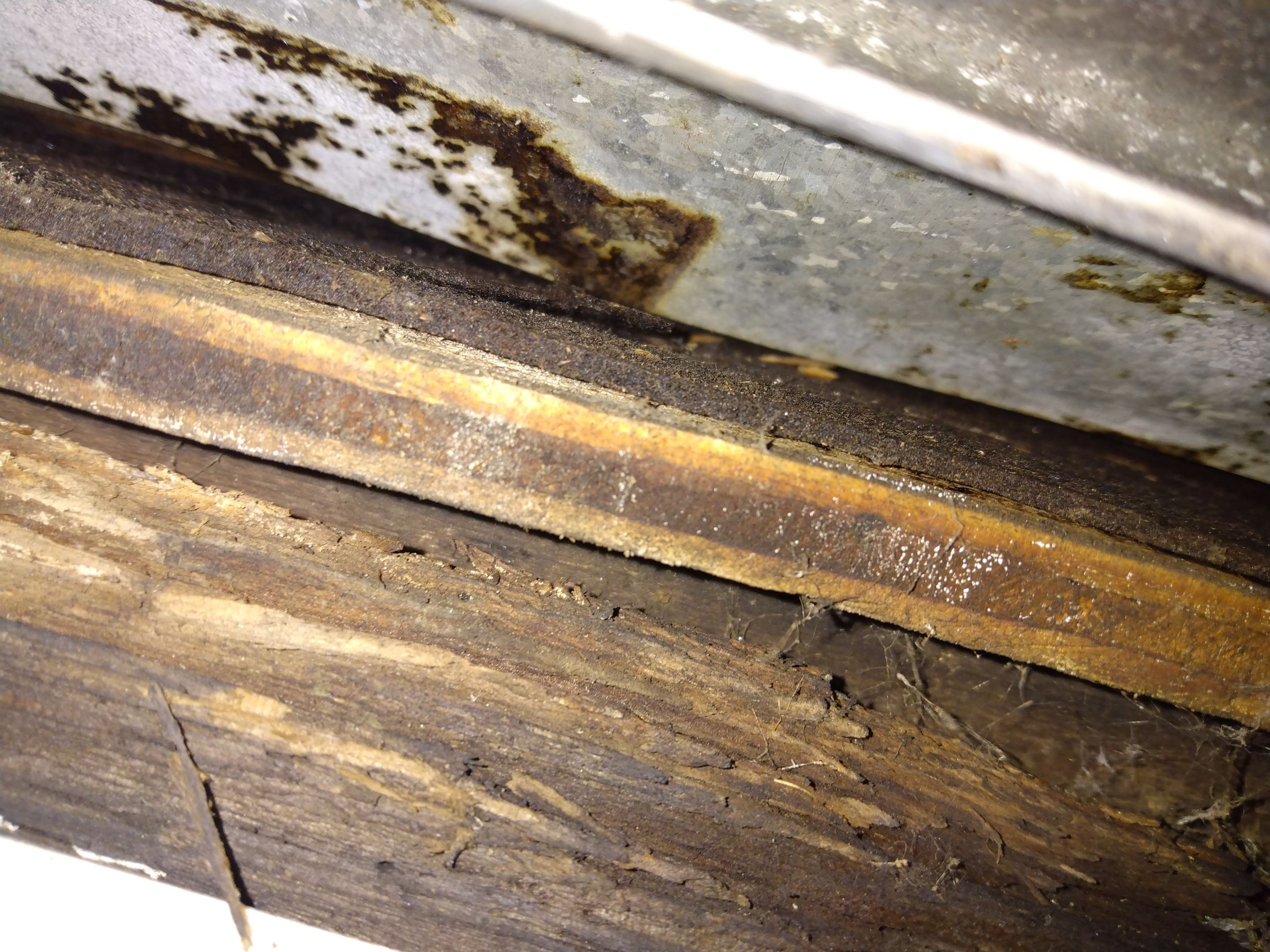 Barnaby Ofori by Constructive Project Management