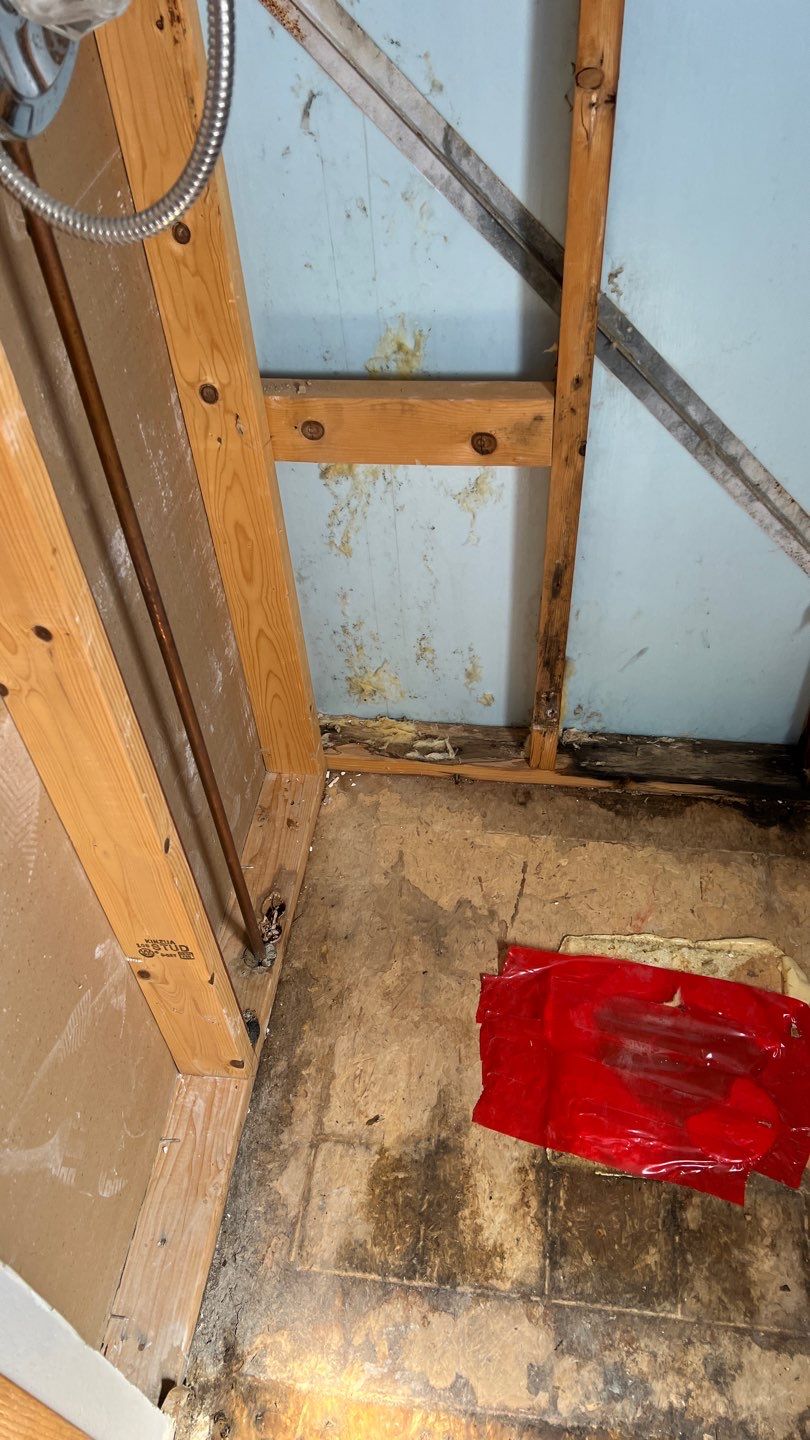 Water Damage and Mold Remediation by Accountable Home Services