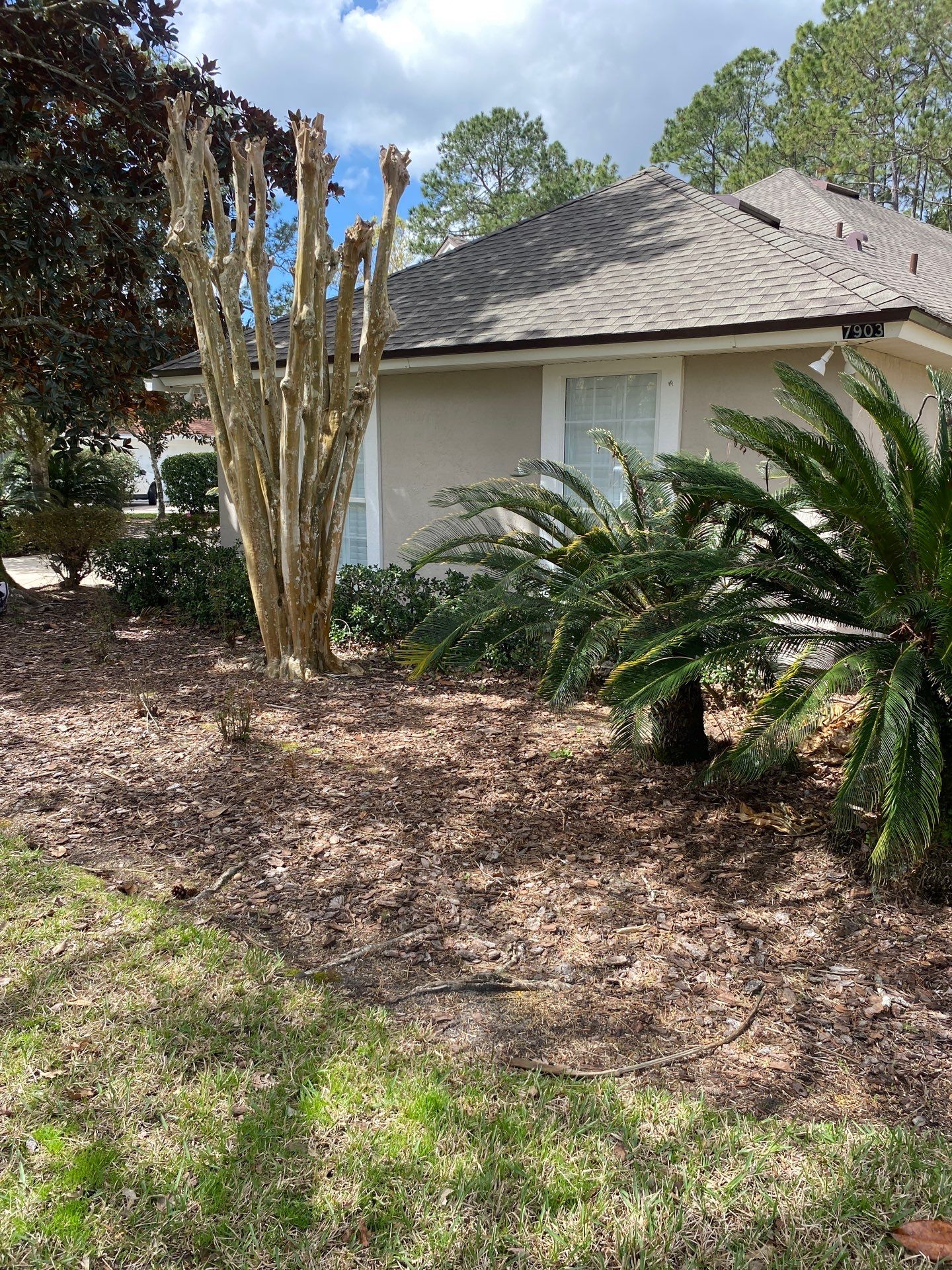 Residential | Landscaping by ProGreen Services