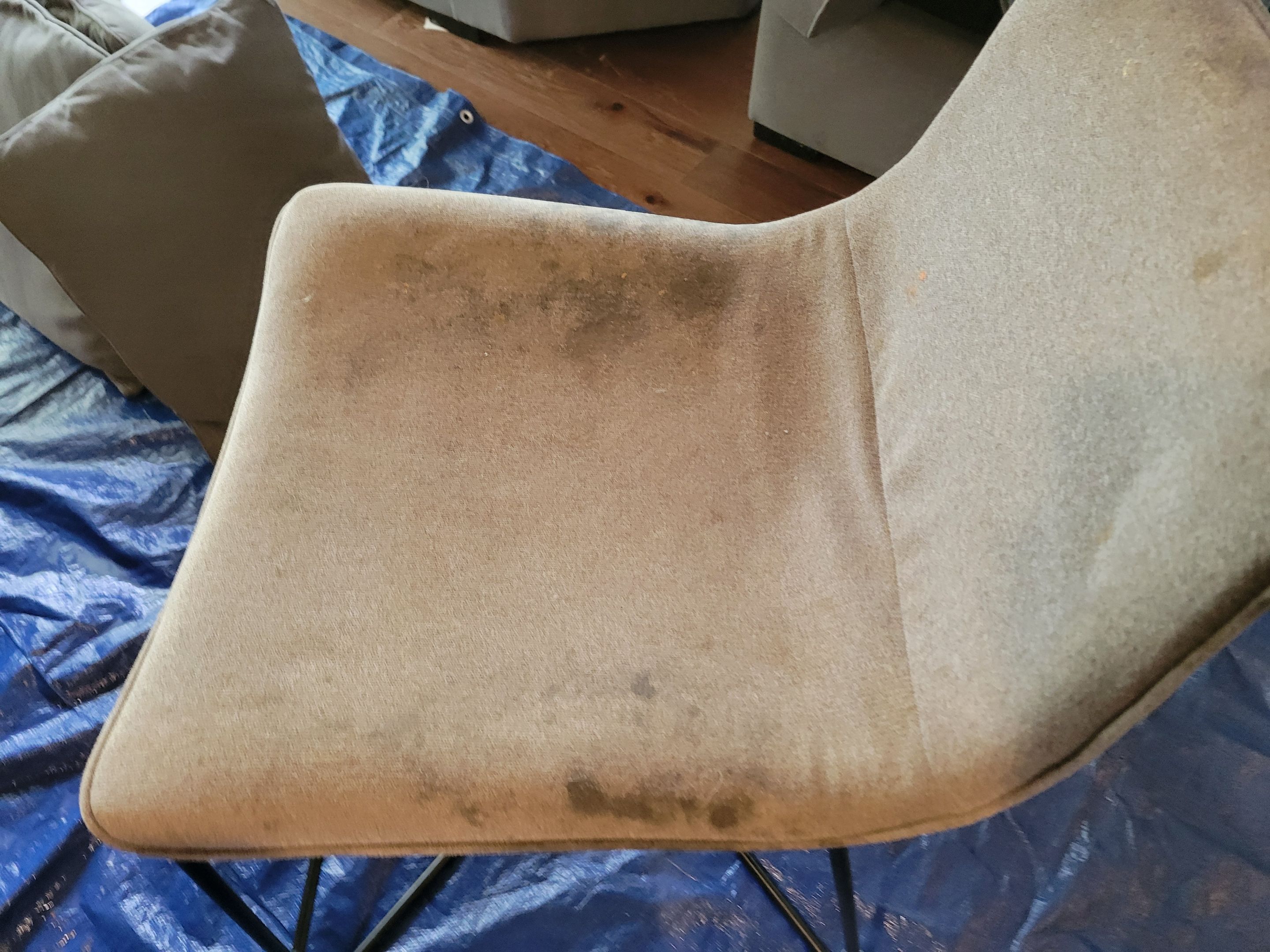 Cleaning of Sectional Sofa, Dining Chairs, Bar Stools by Ardent Carpet Restore LLC