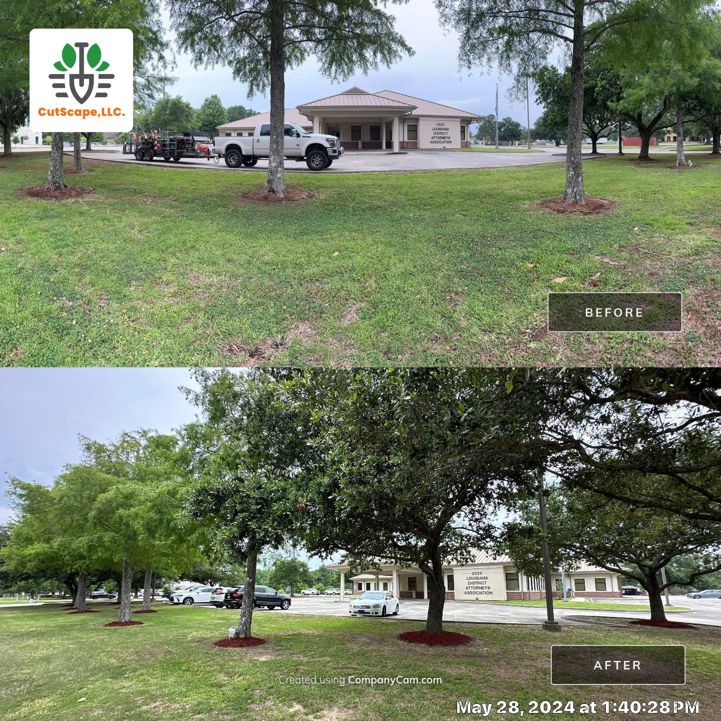 COMMERCIAL: BED CLEAN / MULCH INSTALL  by CutScape, LLC.