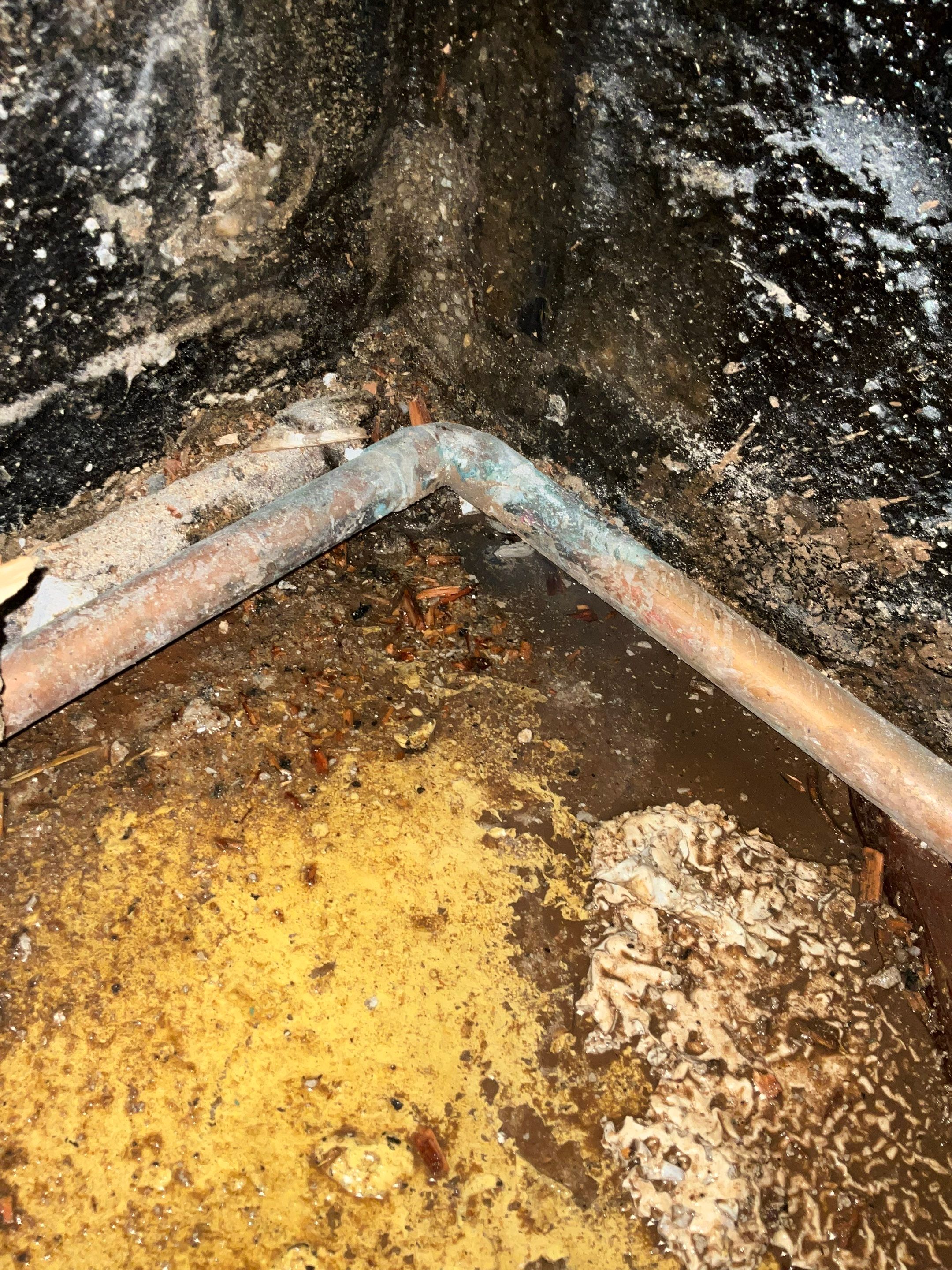 Devonshire Dr • New Hyde Park, NY 11040 by A.M. Shield Waterproofing, Corp.