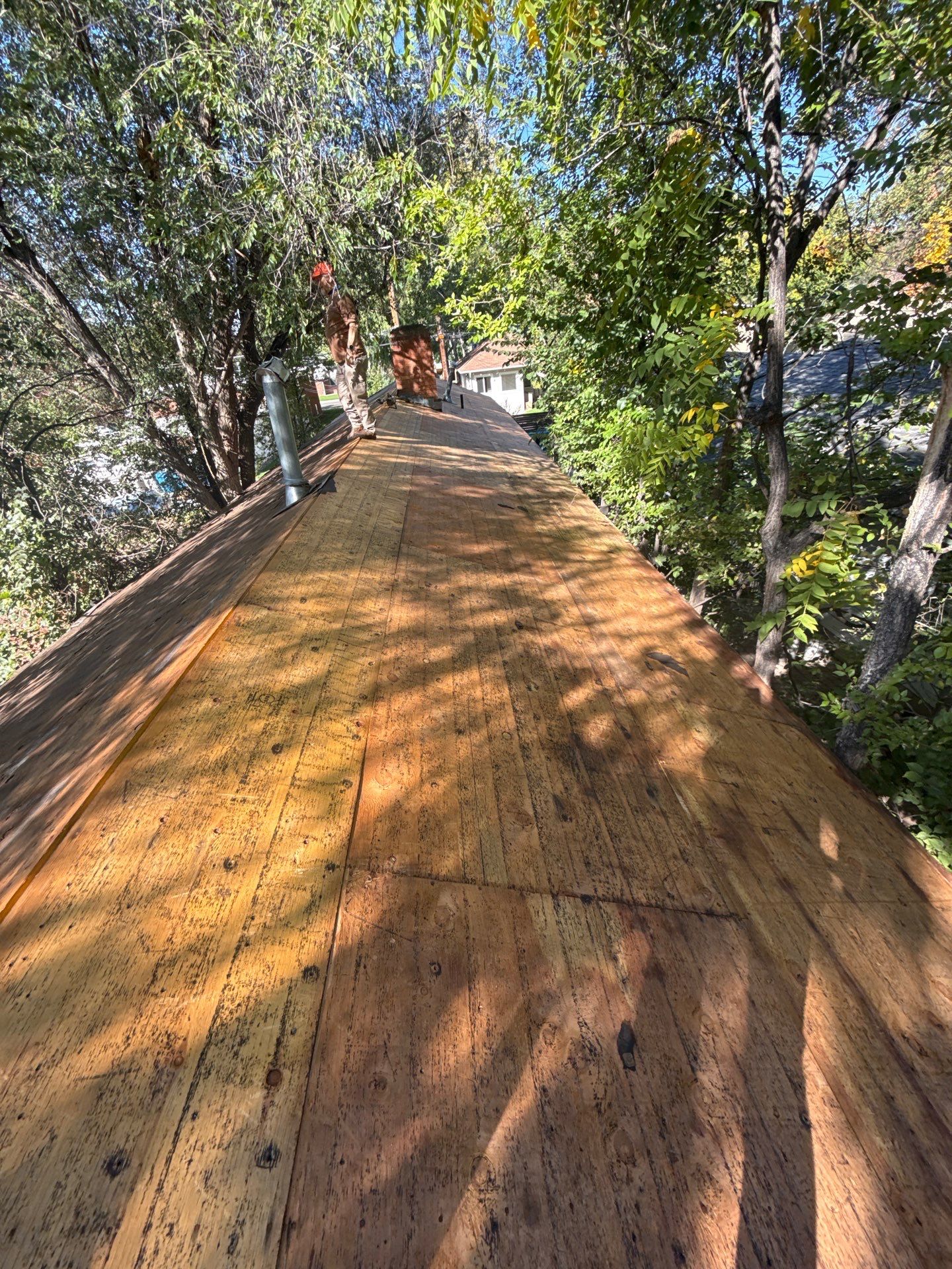Boise Residential Roof Replacement Featuring Architectural Shingles and New Decking by Olive Roofing