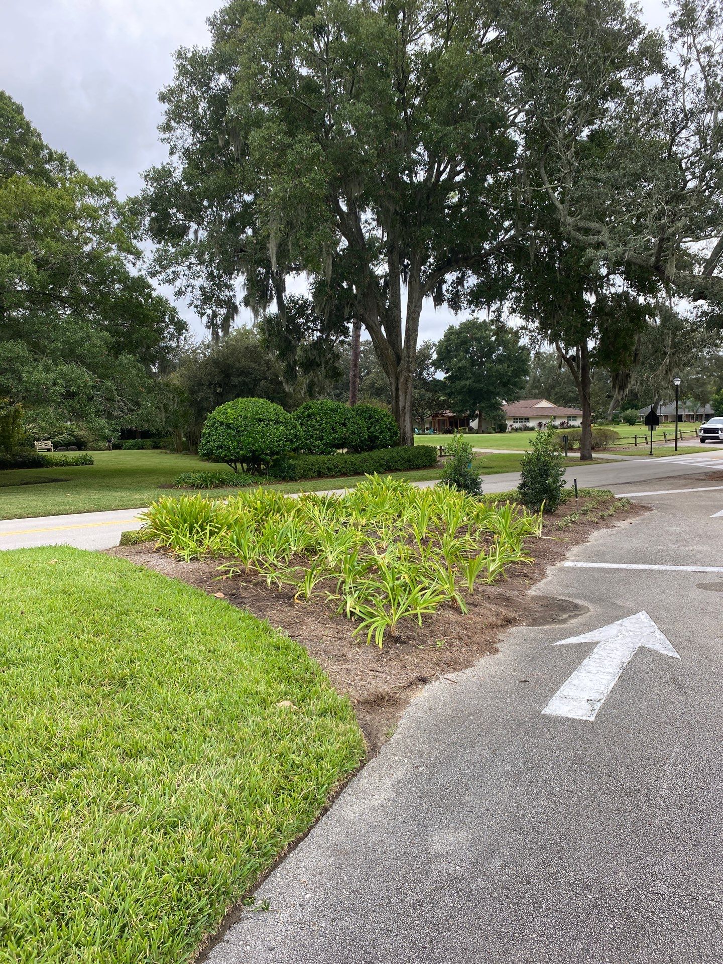 Deerwood Community | Island Landscape Replacement by ProGreen Services