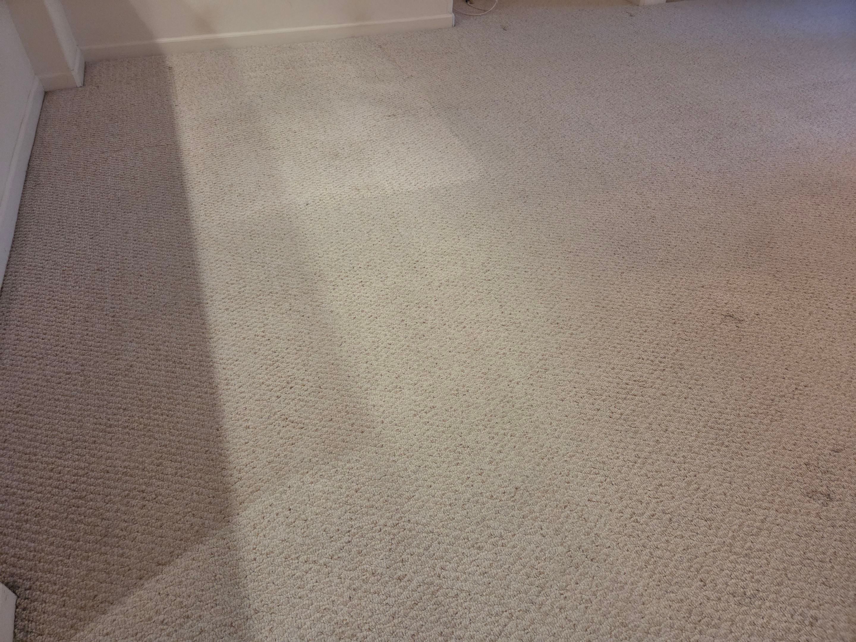 Heavy Carpet Cleaning for a Listing by Ardent Carpet Restore LLC