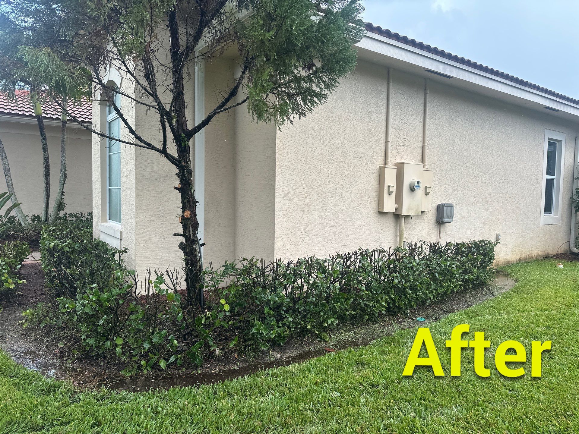 From Overgrown to Picture-Perfect - Stuart Refresh by Alpha Zeta Enterprises Inc