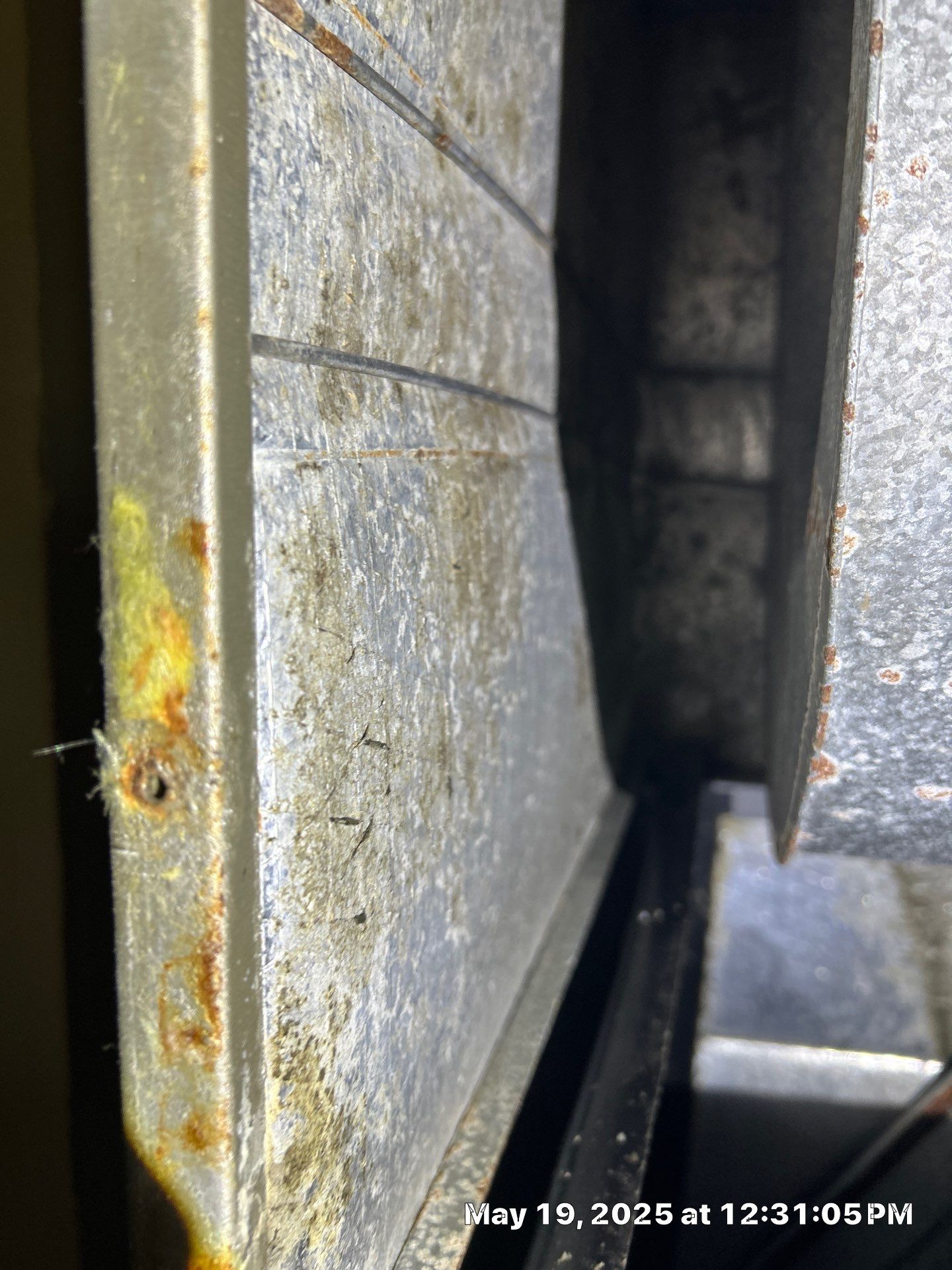 Sarasota Mold Damage by Ampm Restoration Services