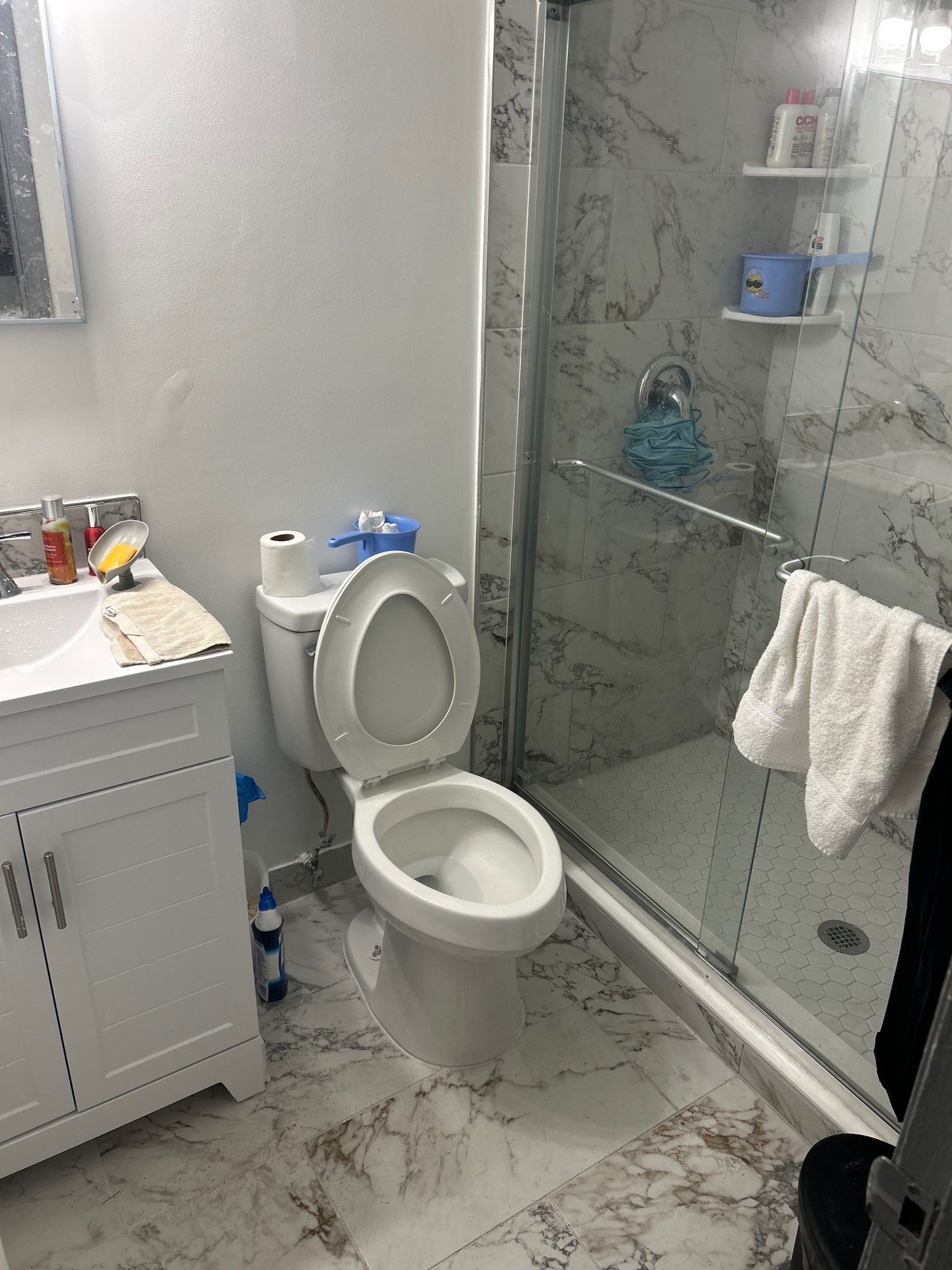 Dual Bathroom Makeover by urban green energy llc