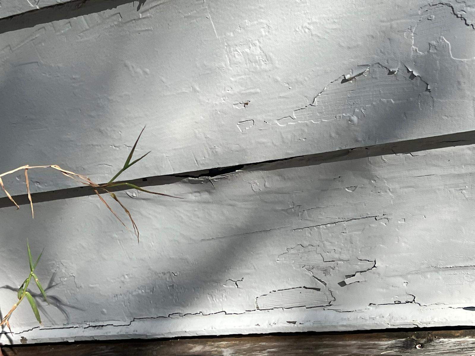 Water Damage Claim in St. Petersburg by FLAPA & KeyStone