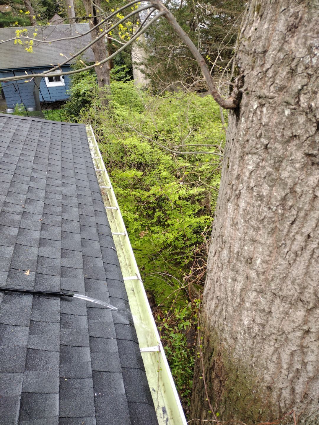 Residential Gutter Cleaning and System Assessment in Verona New Jersey by NJ Home Maintenance Services