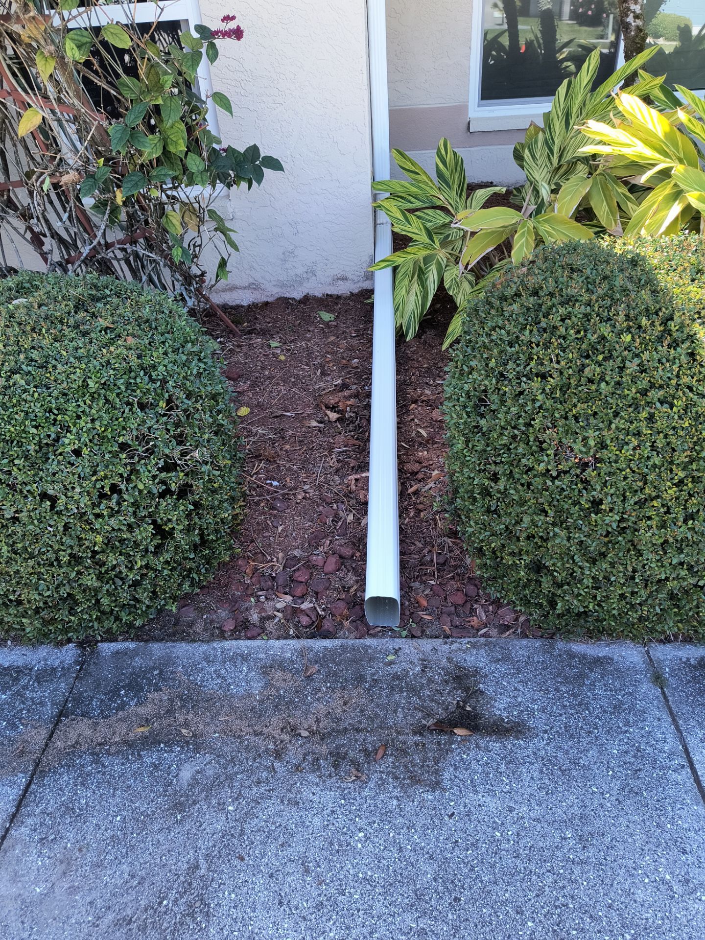 White Seamless Gutters using 6 Inch Seamless Gutters in Sarasota FL by Gutter Professors