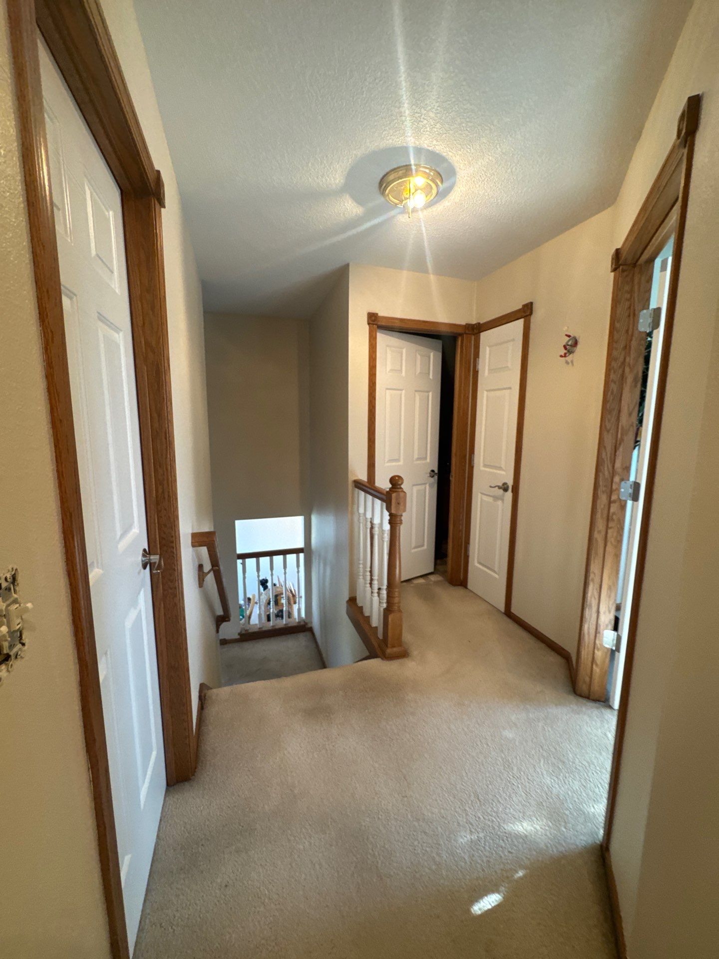 Ankeny Residential Interior | SW Duration in Natural Linen, Velvet Antler Accents & Clary Sage Bath with ProMar Flat White Ceilings by Midwest Paint LLC