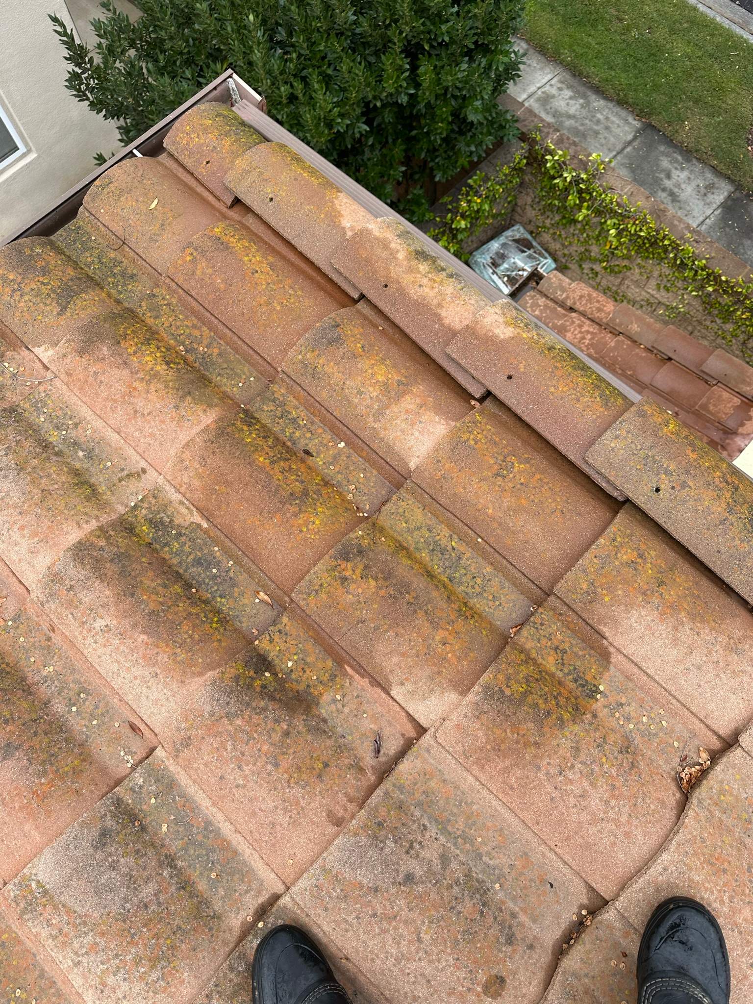 Clogged gutters at this Irvine home in Woodbury by Property Cleaning Experts, LLC