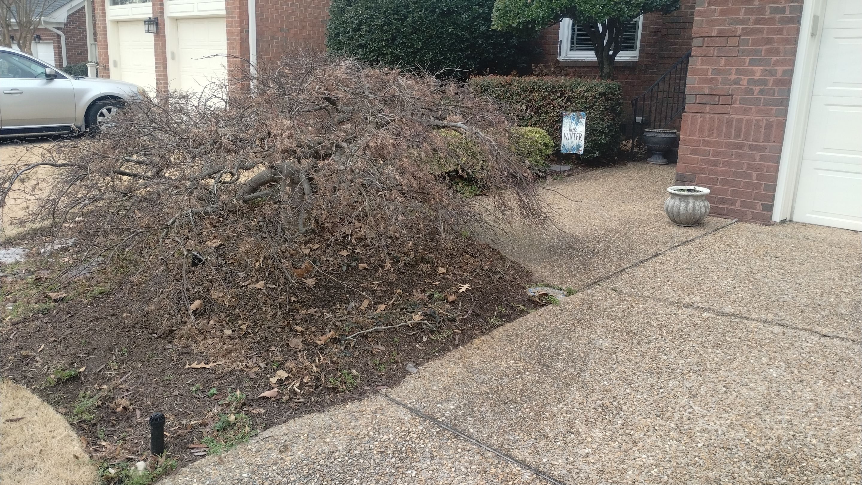 Gardens by Oz featured photo.