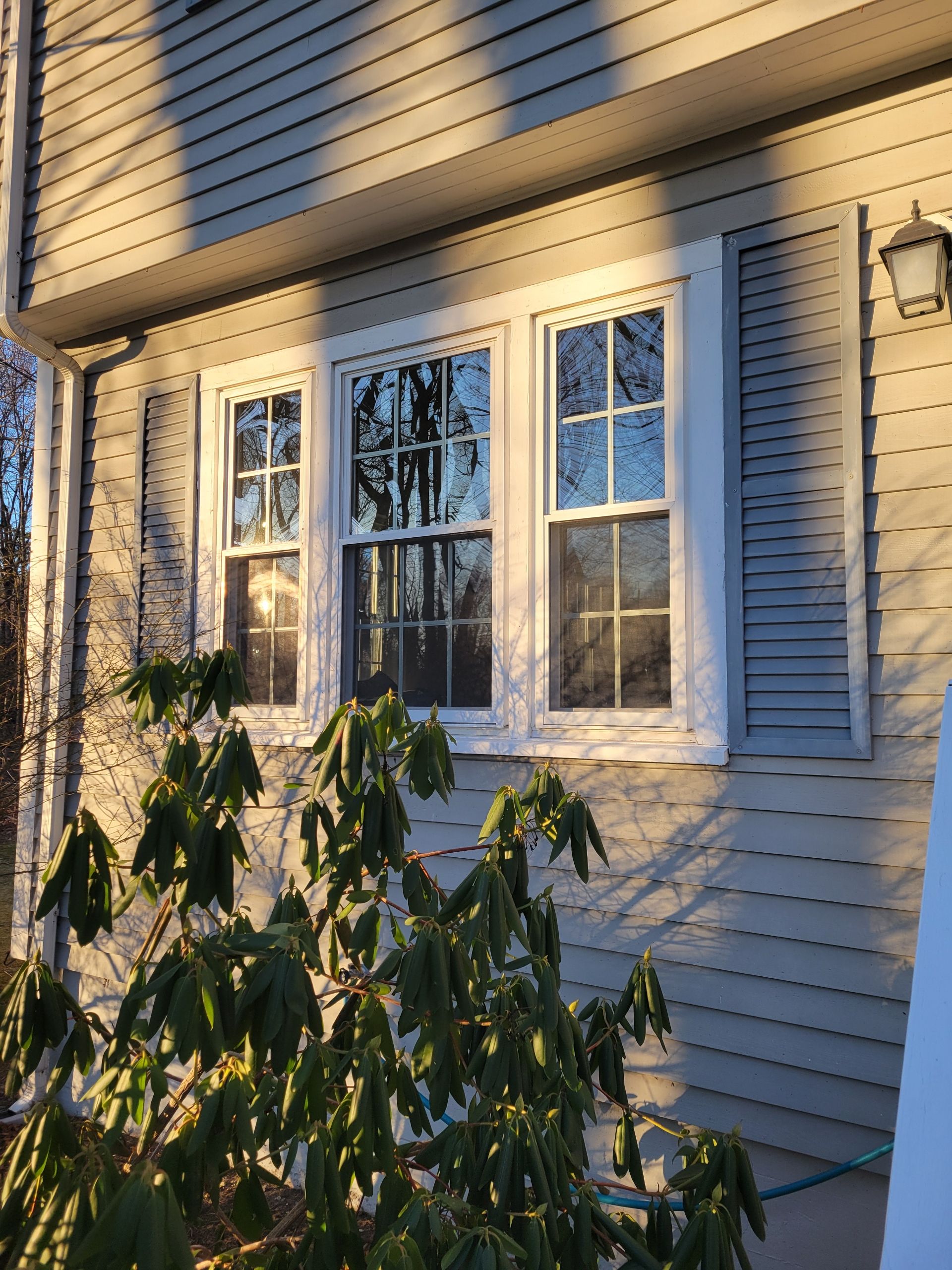 Roofing & Windows | Littleton by Mighty Dog Roofing of Greater Middlesex County