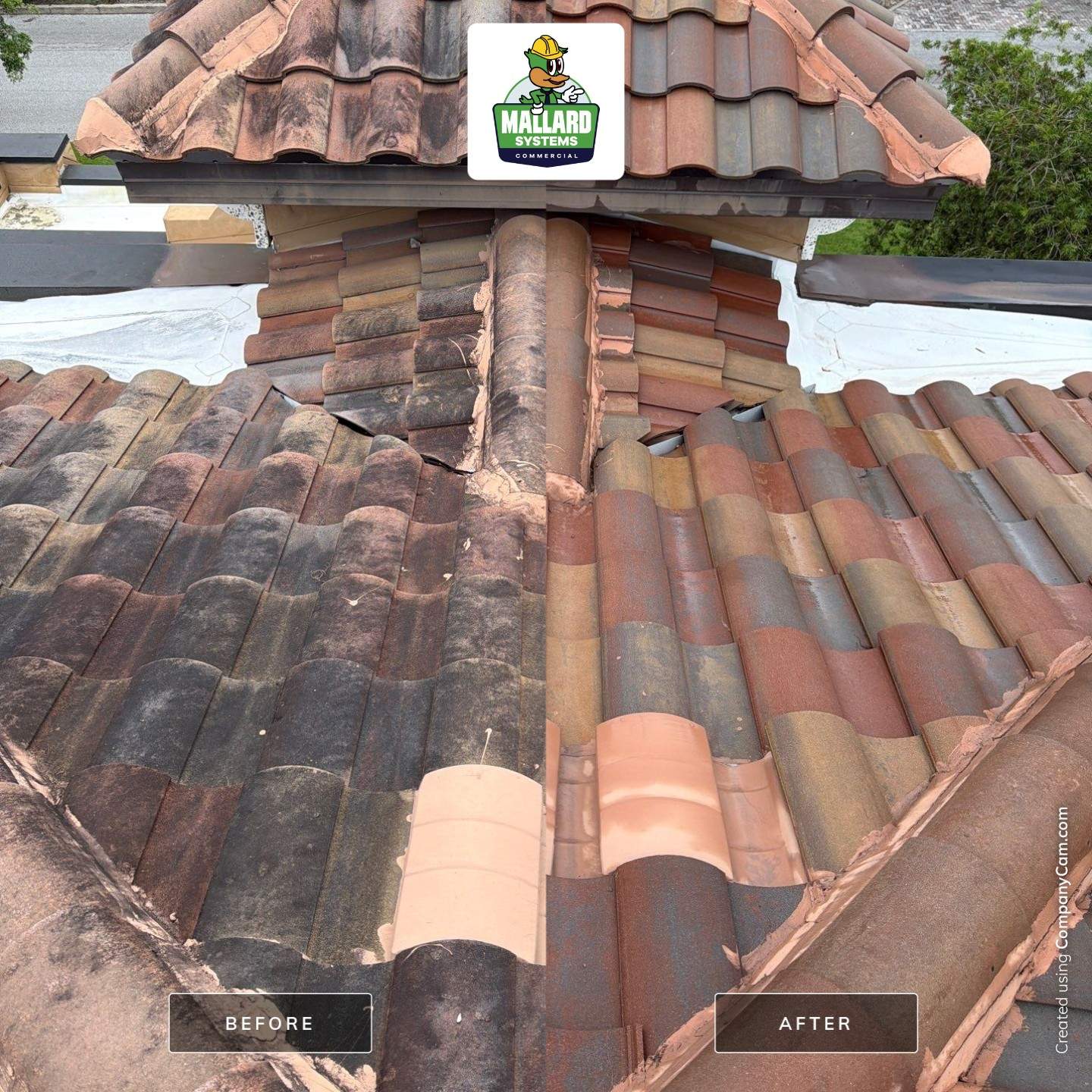 Residential Barrel Tile Roof Cleaning by Mallard Systems