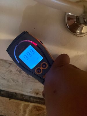 MOLD