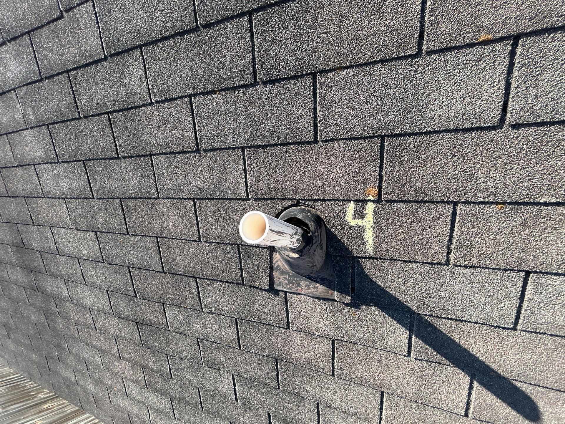 Miss Bridgette by REPS OF TEXAS