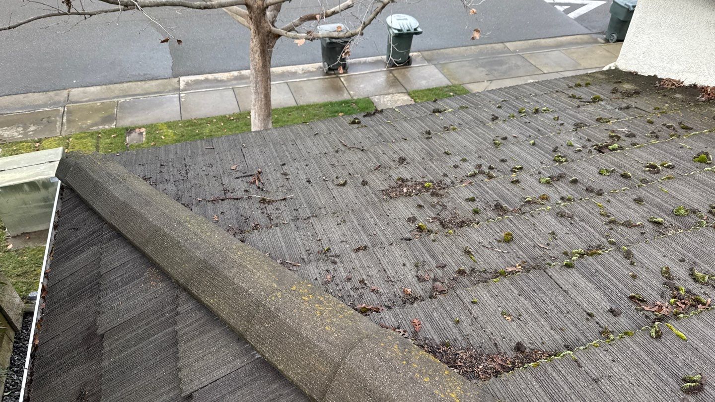 Project by NuLead Construction Inc by NuLead Construction Inc