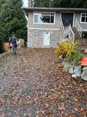 Leaf removal