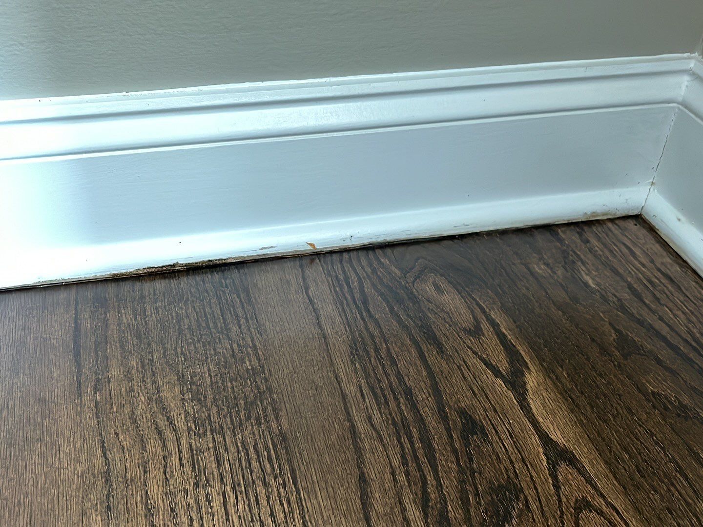 Water Damage by G2