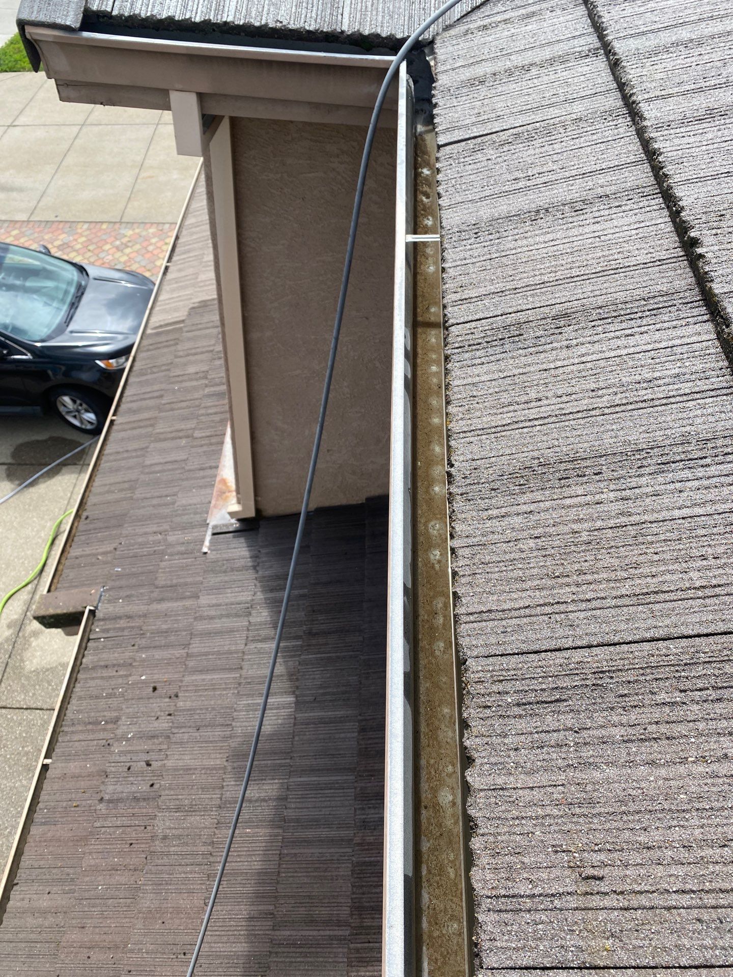 Moss Removal by Top Elevation