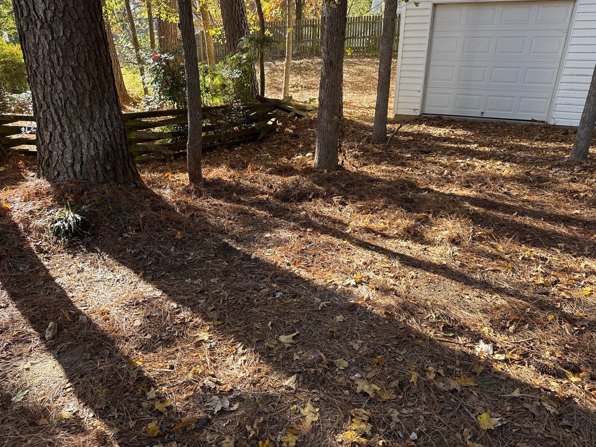 Project in Charlotte by Badger Hauling