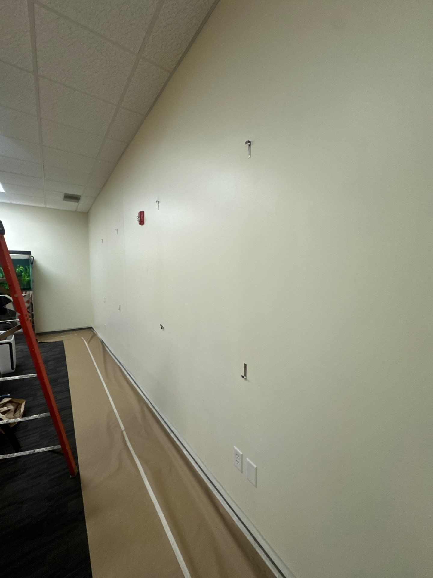 Commercial Interior Repaint  by Midwest Paint LLC